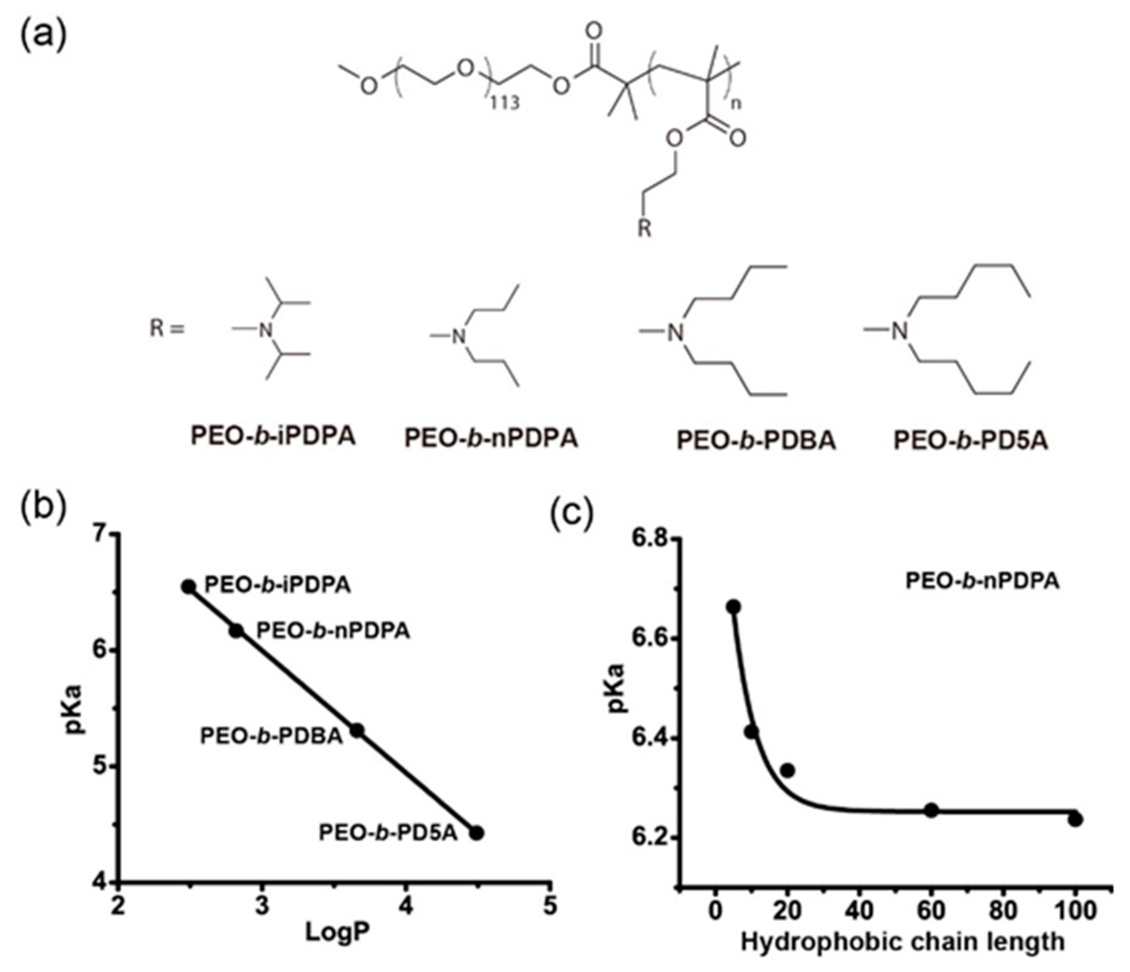 Molecules 24 00004 g007 Molecules 24 00004 g007