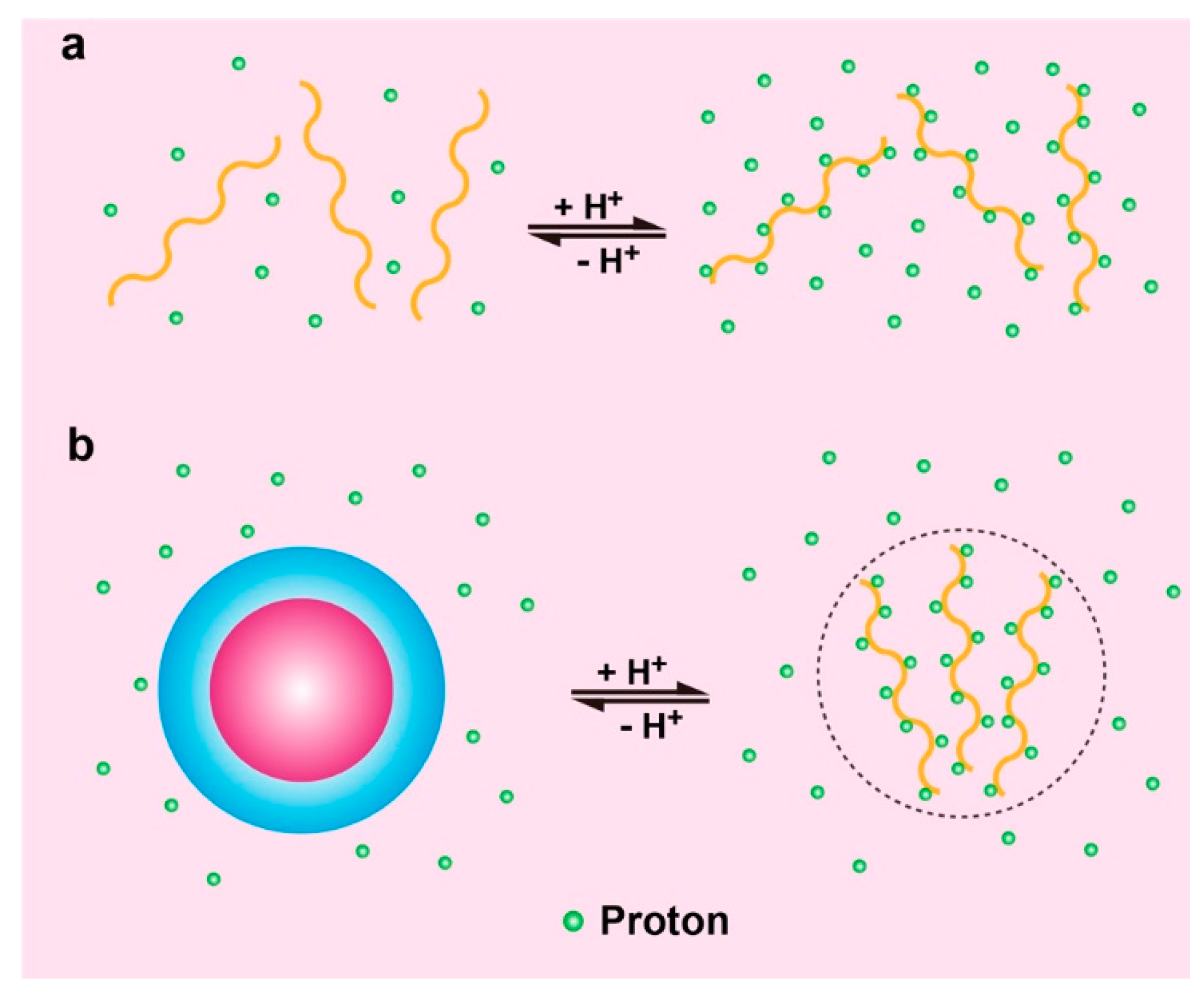 Molecules 24 00004 g011 Molecules 24 00004 g011