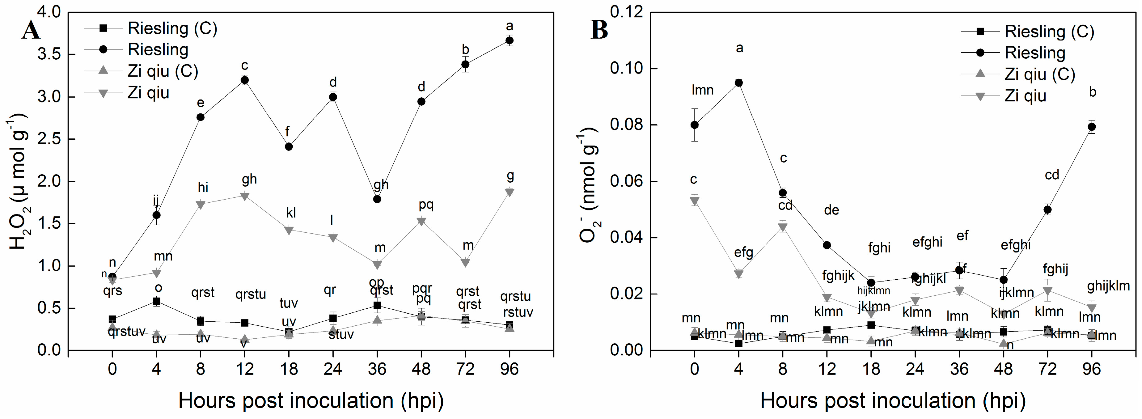 Molecules 24 00005 g005 Molecules 24 00005 g005
