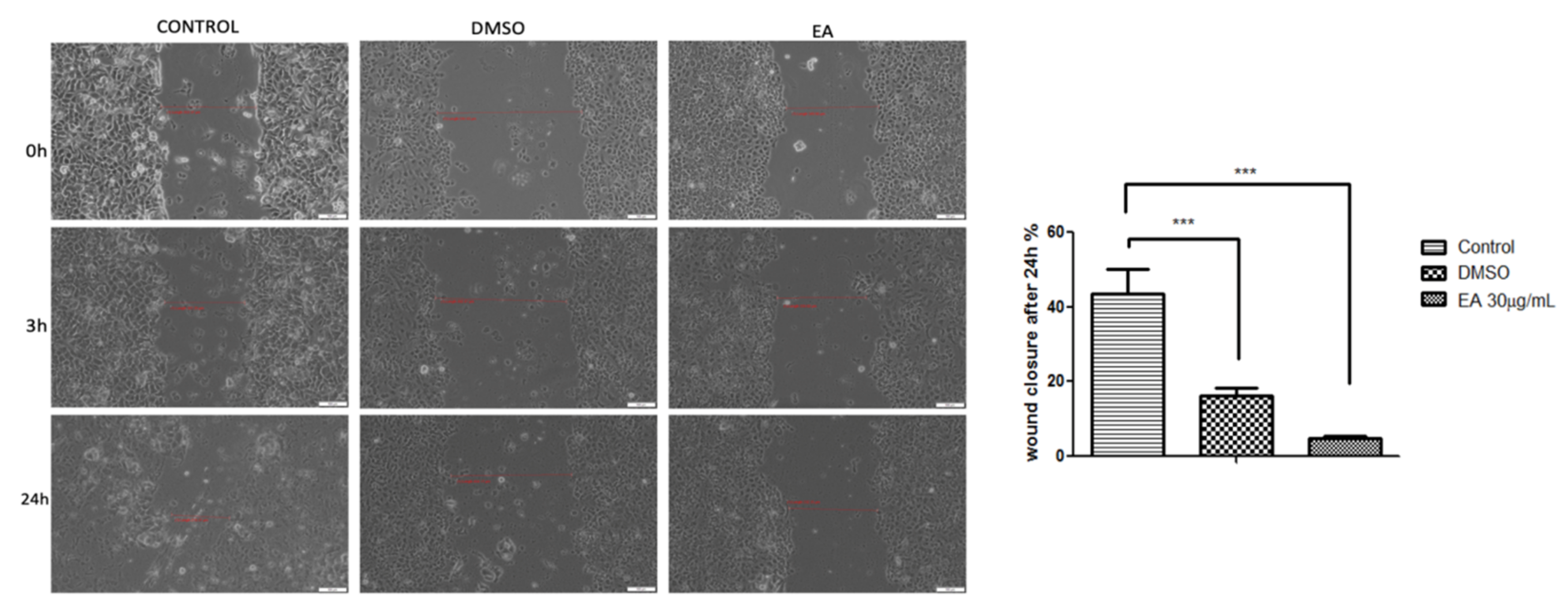 Molecules 24 00013 g004