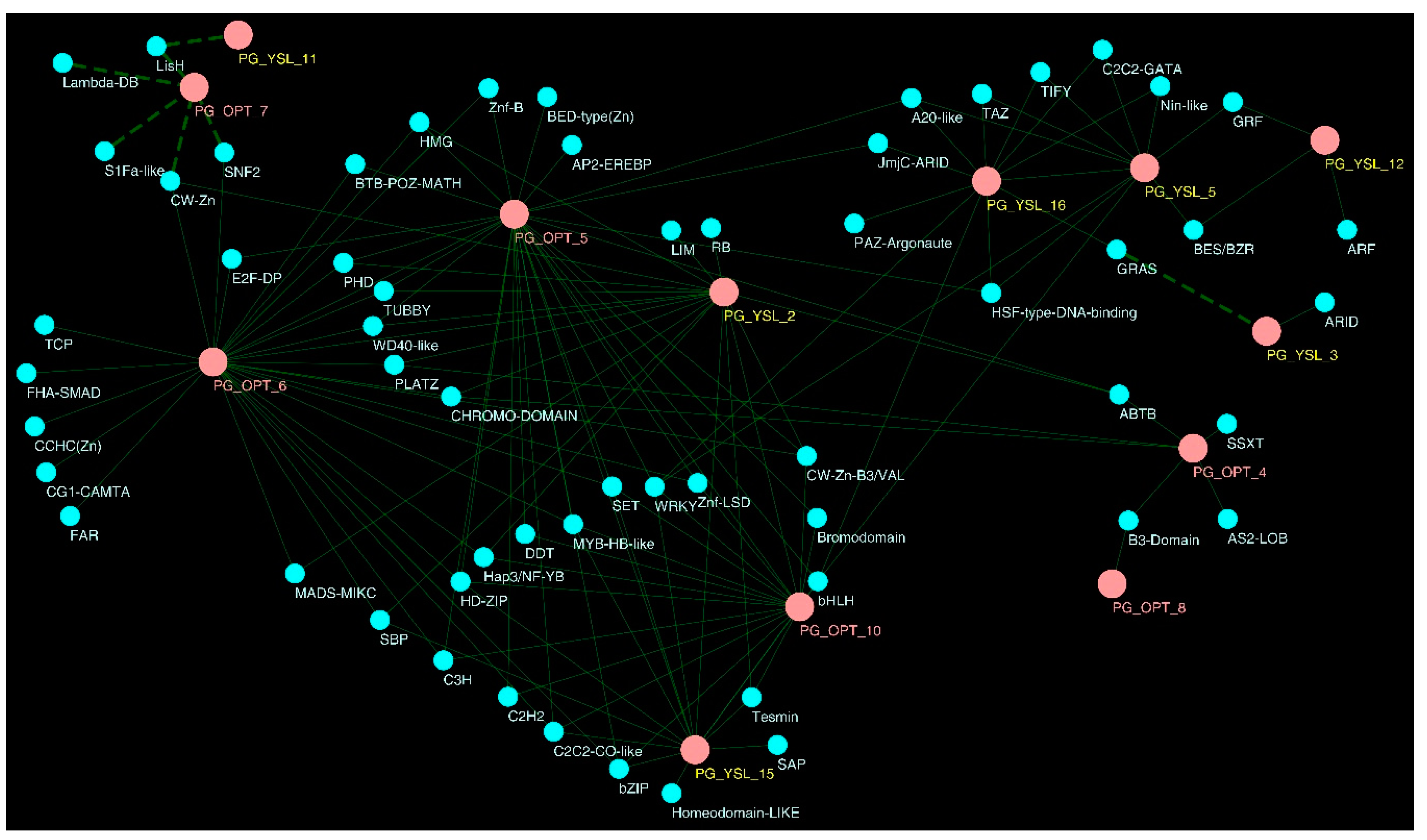 Molecules 24 00015 g007 Molecules 24 00015 g007