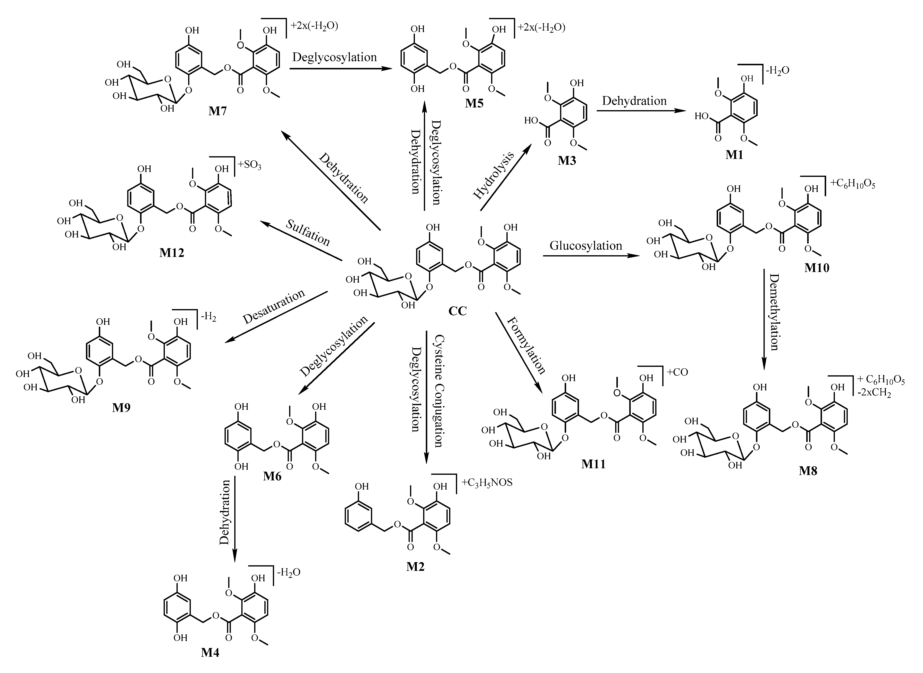 Molecules 24 00021 g004 Molecules 24 00021 g004