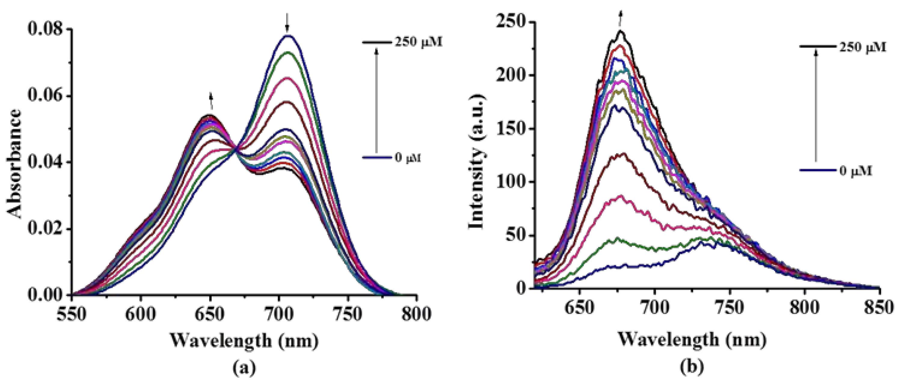Molecules 24 00032 g003