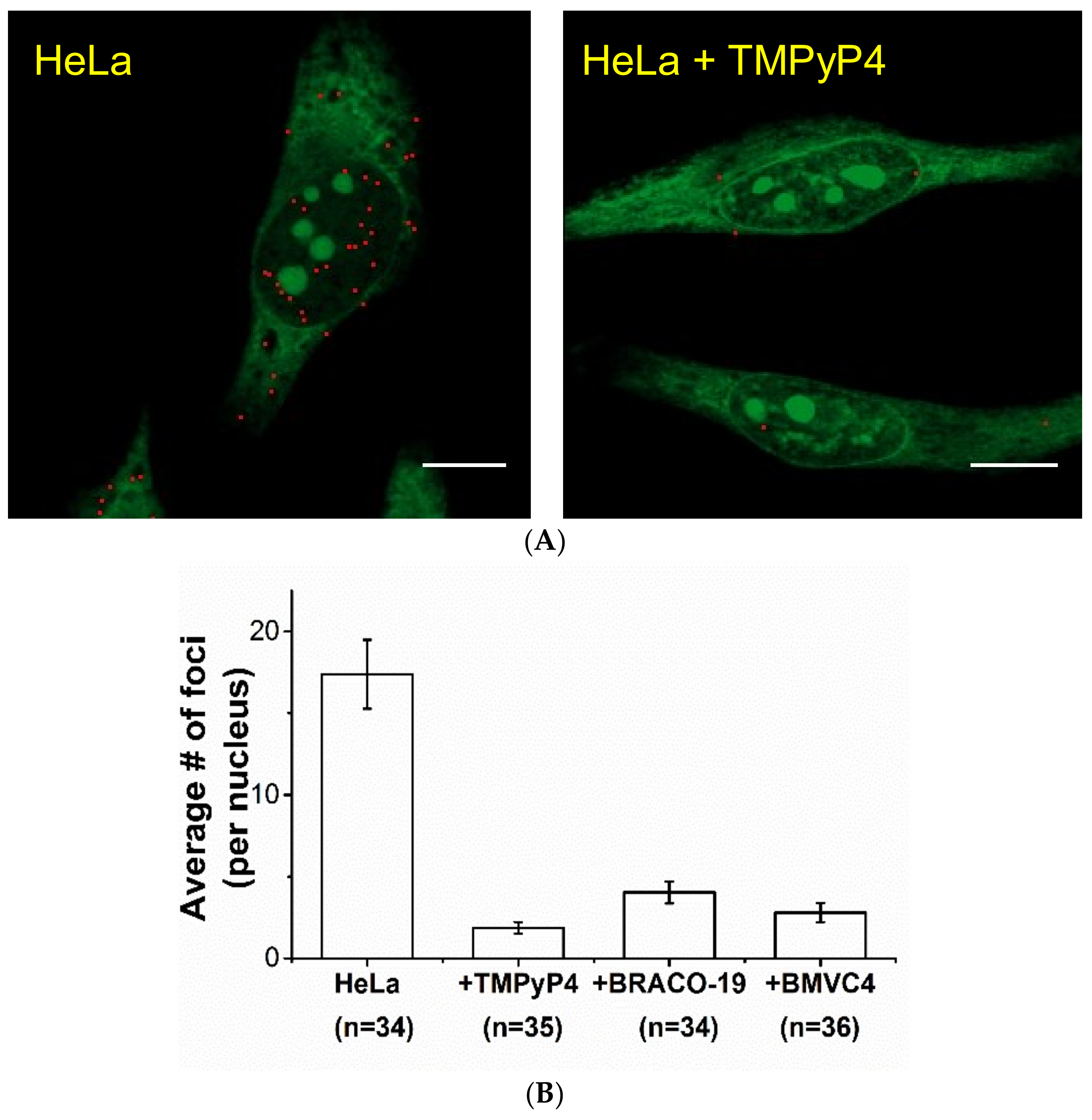 Molecules 24 00035 g003 Molecules 24 00035 g003