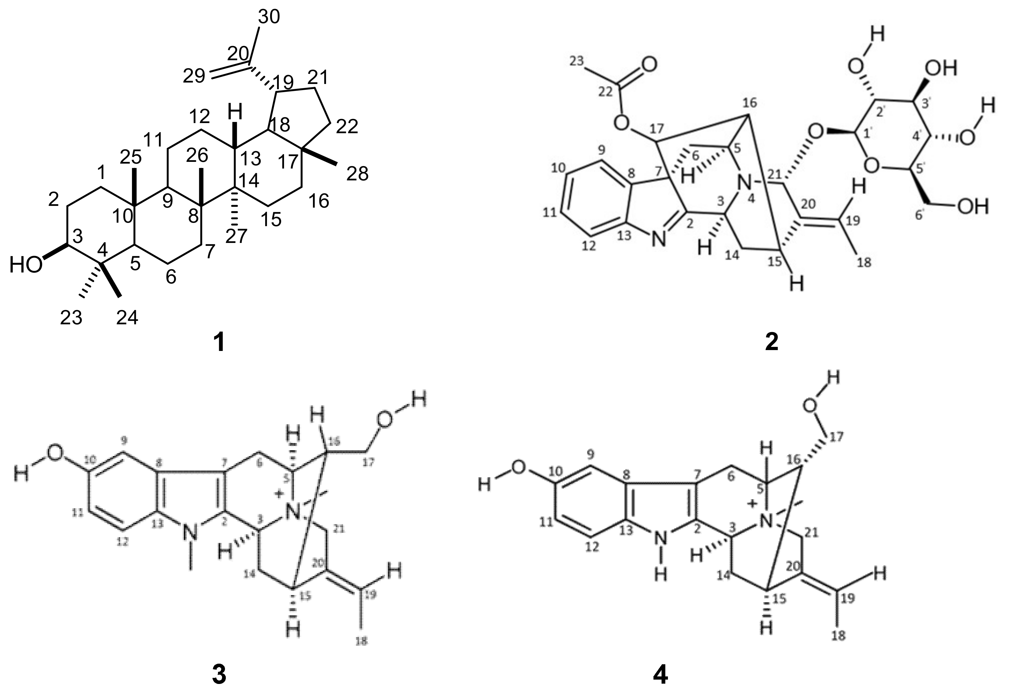 Molecules 24 00039 g001