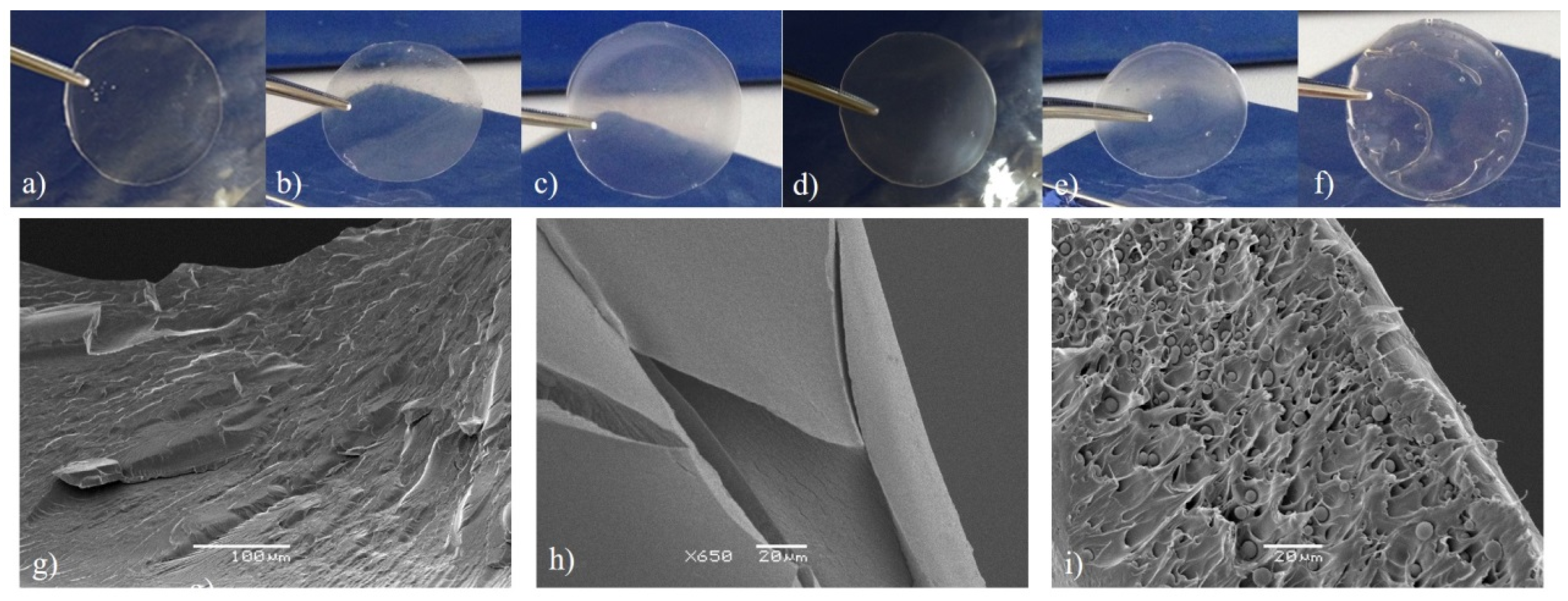 Molecules 24 00040 g002 550