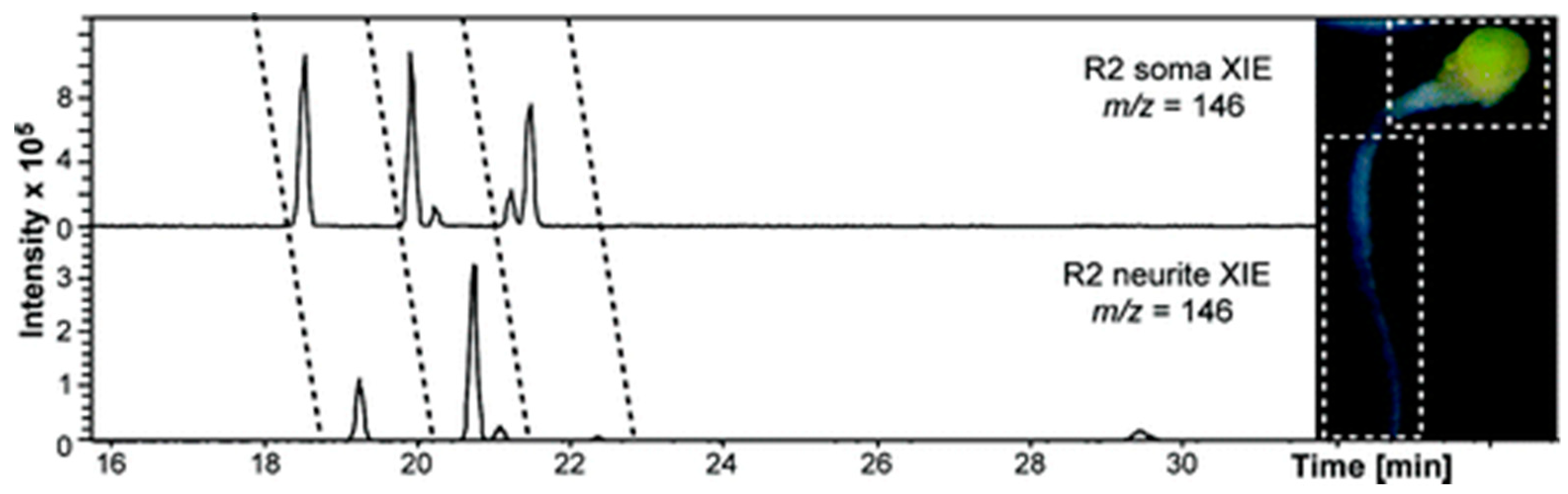 Molecules 24 00042 g006