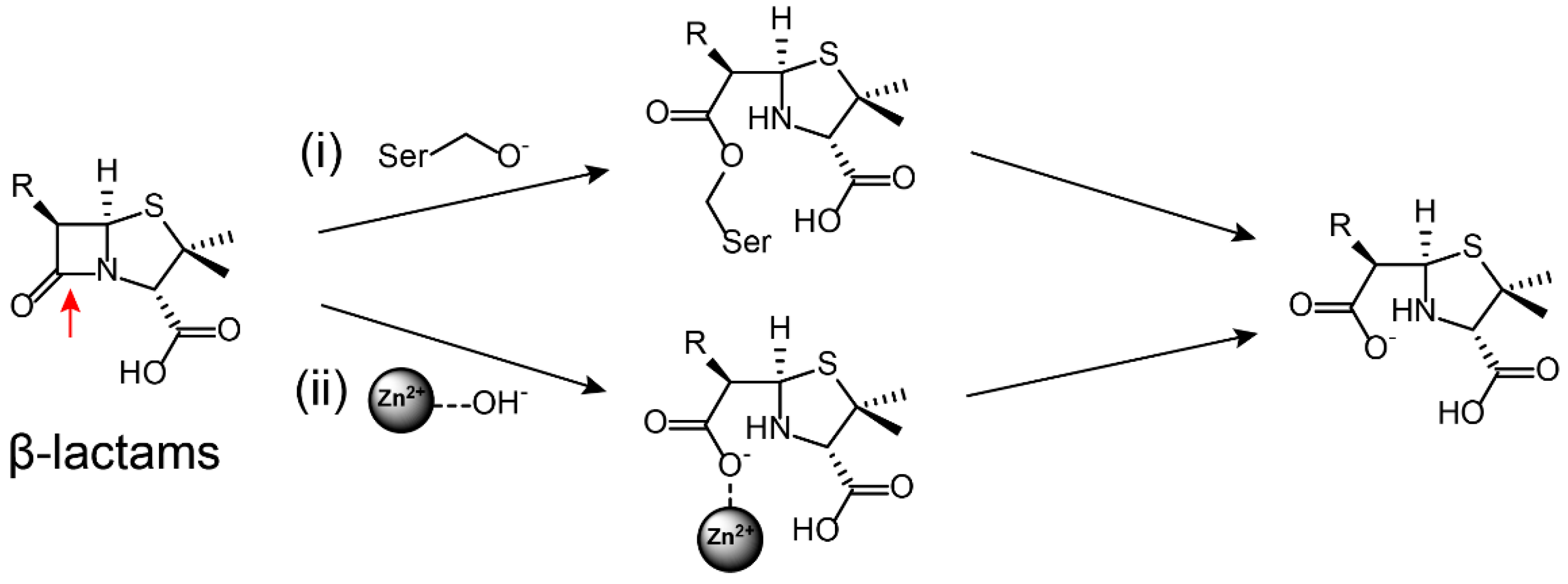 Molecules 24 00043 g002
