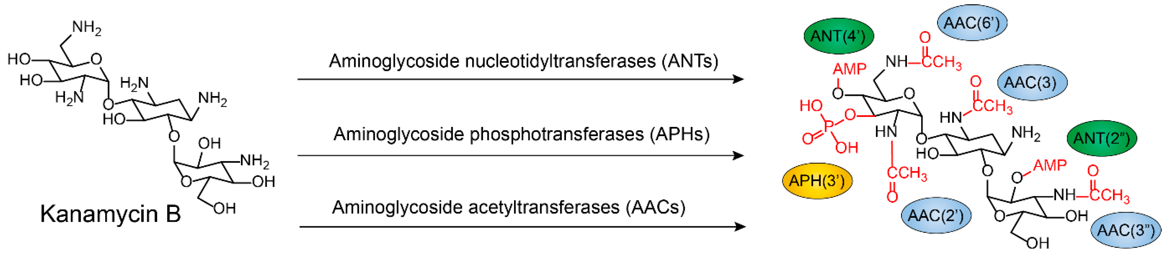 Molecules 24 00043 g004
