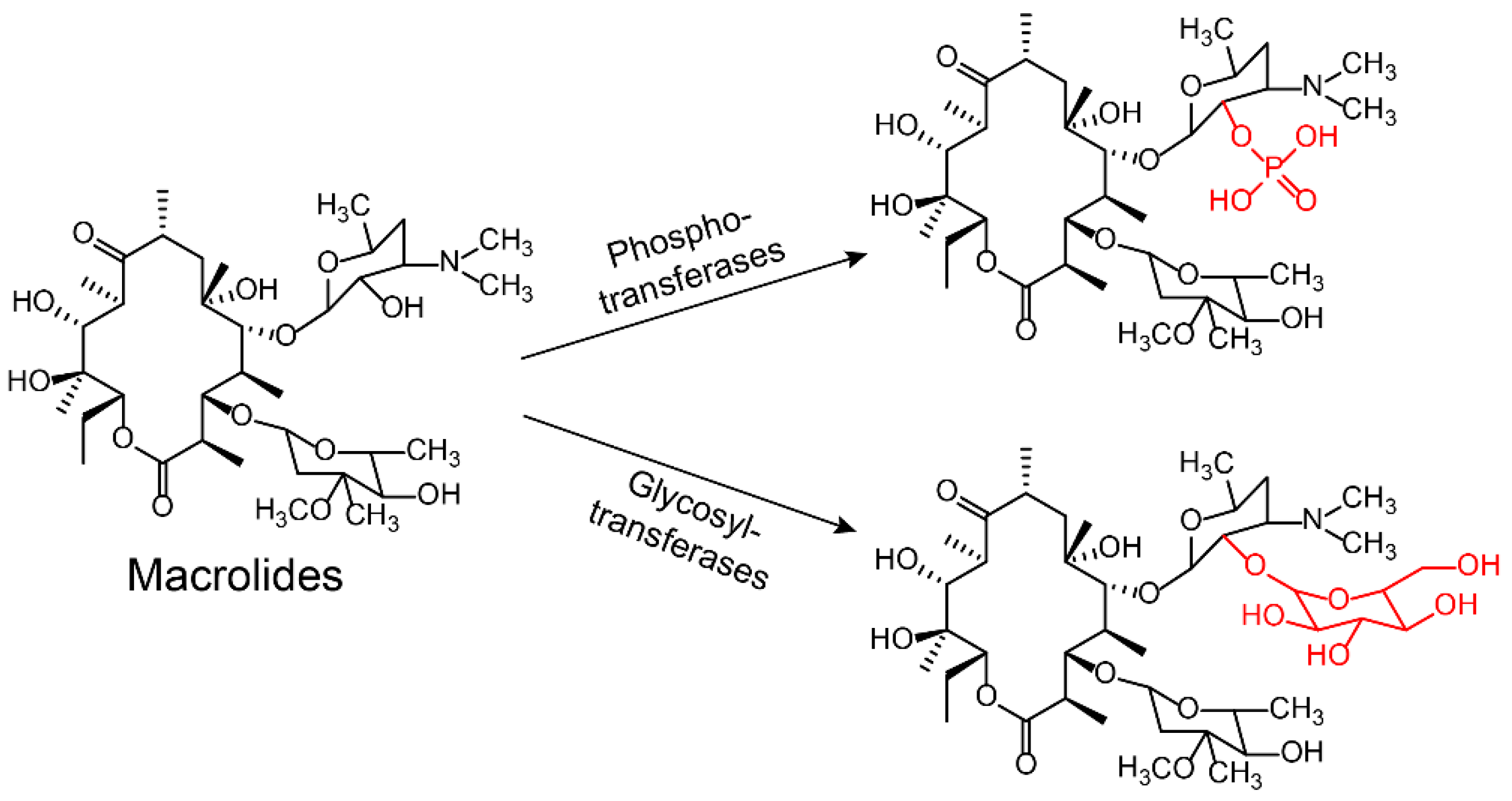 Molecules 24 00043 g006