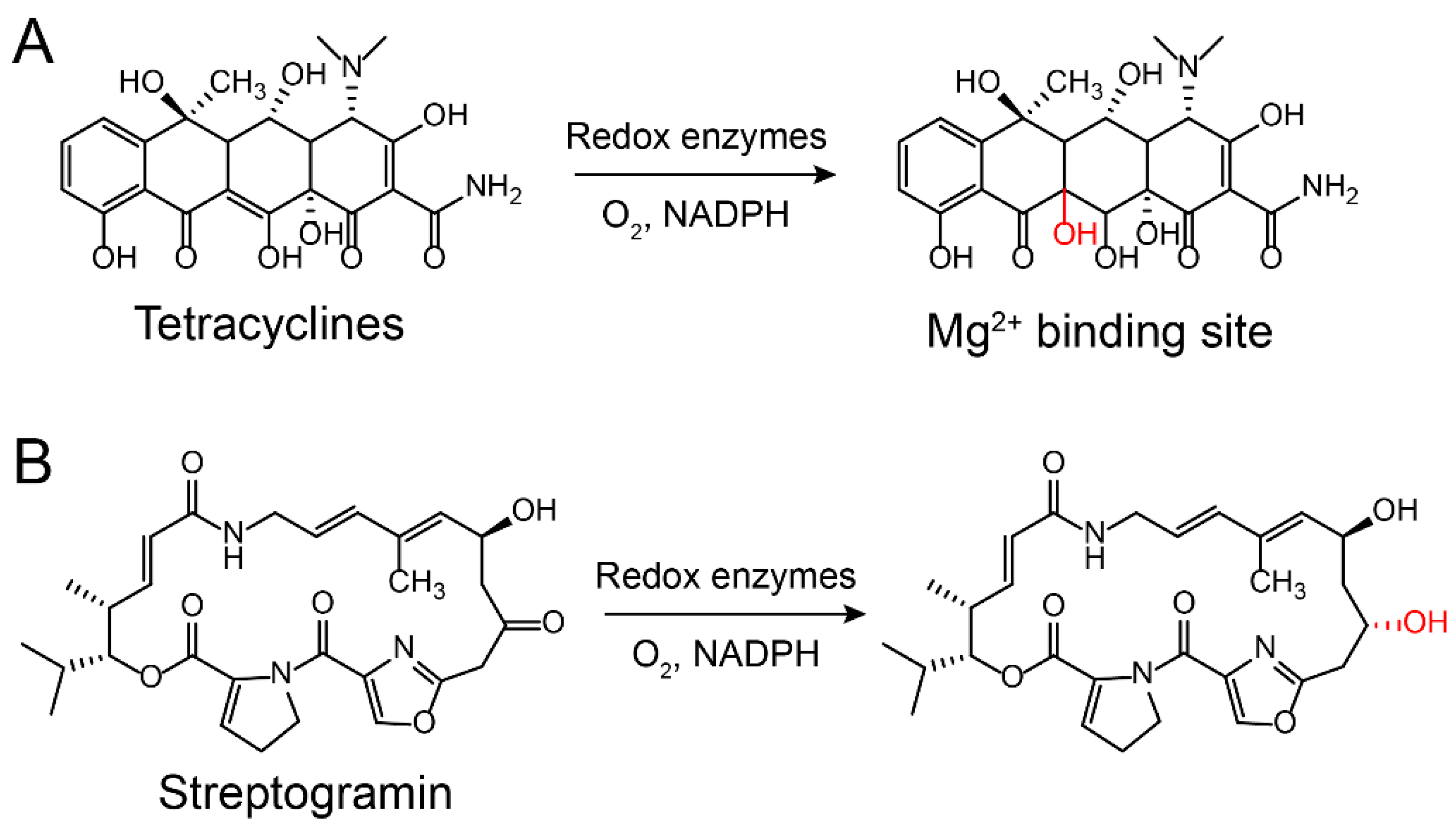 Molecules 24 00043 g007