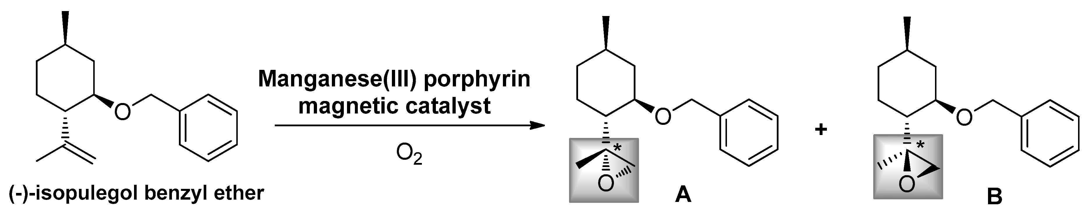 Molecules | Free Full-Text | Bioinspired-Metalloporphyrin Magnetic 