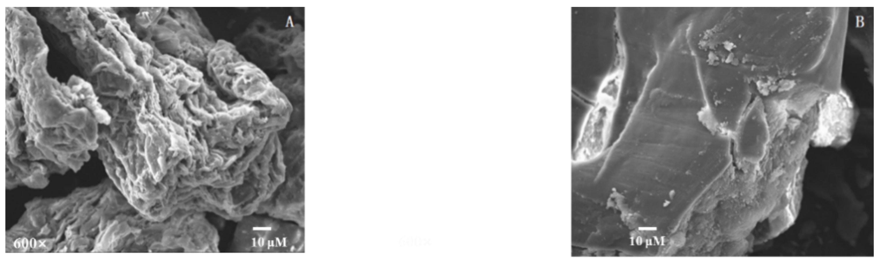 Molecules 24 00060 g002 550