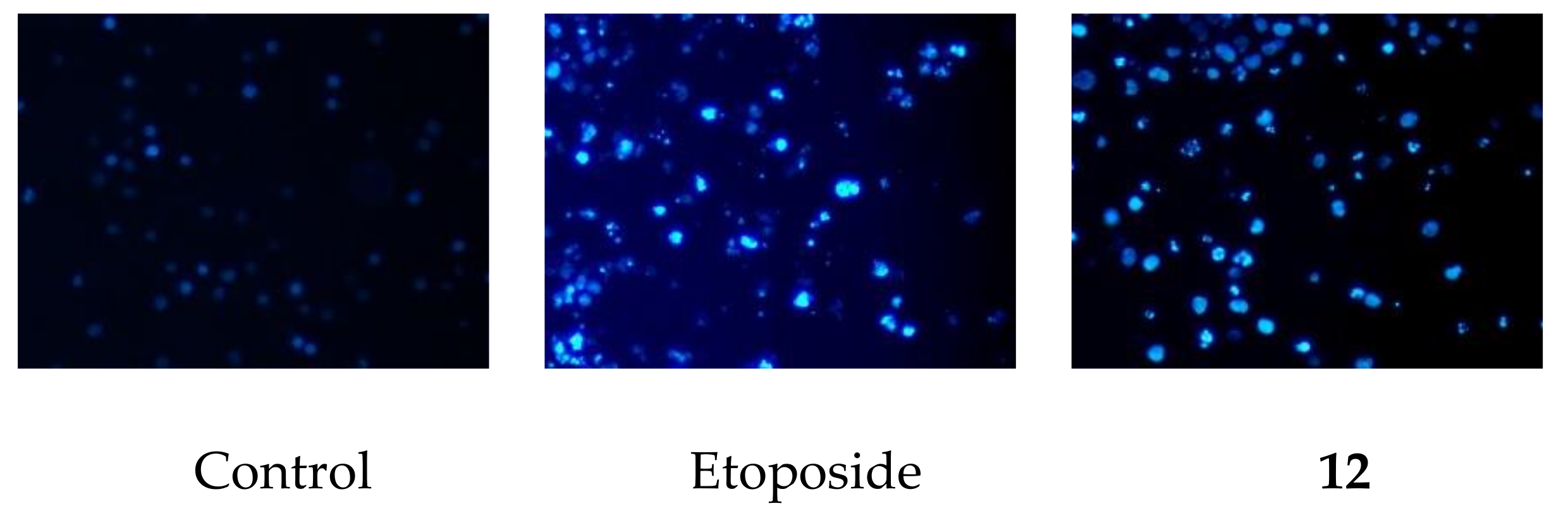 Molecules 24 00069 g003
