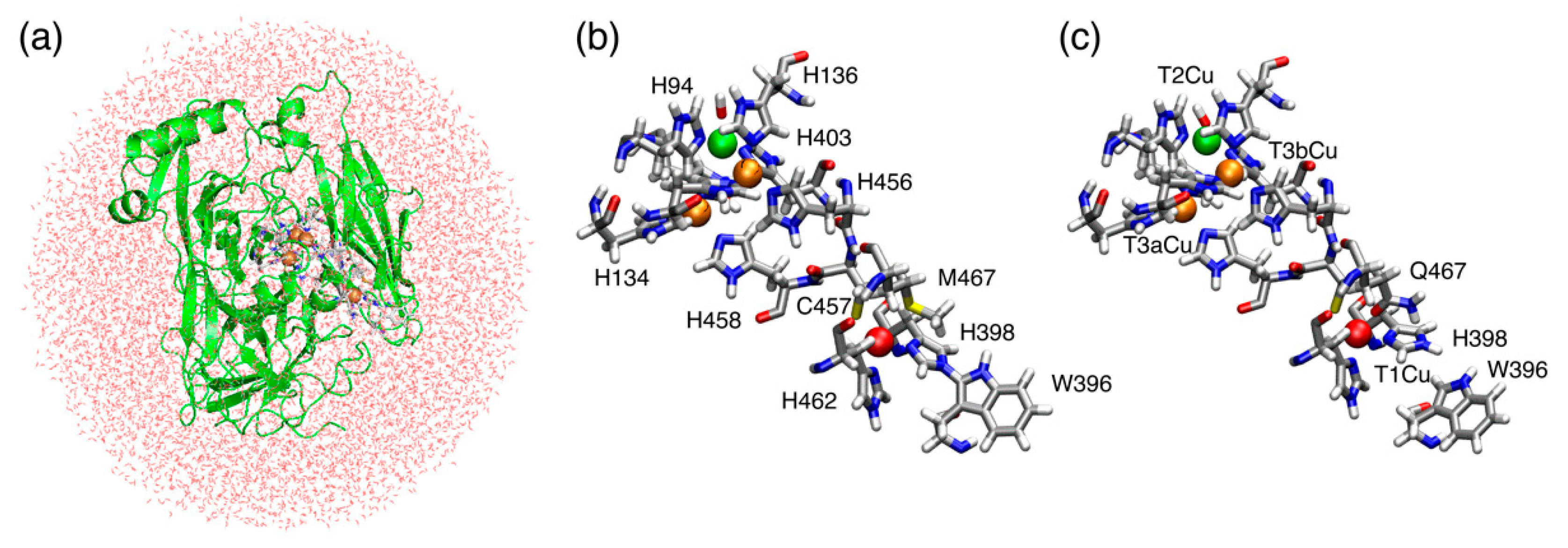 Molecules 24 00076 g002 Molecules 24 00076 g002