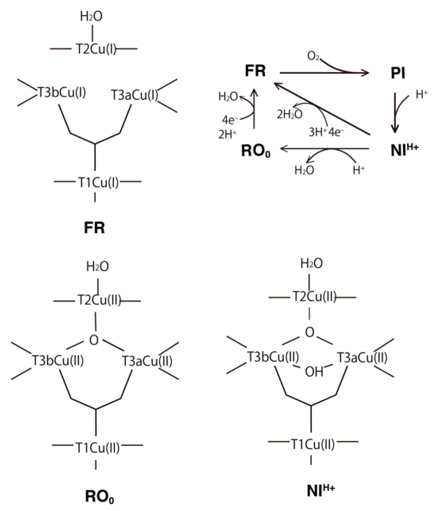 Molecules 24 00076 g007 Molecules 24 00076 g007