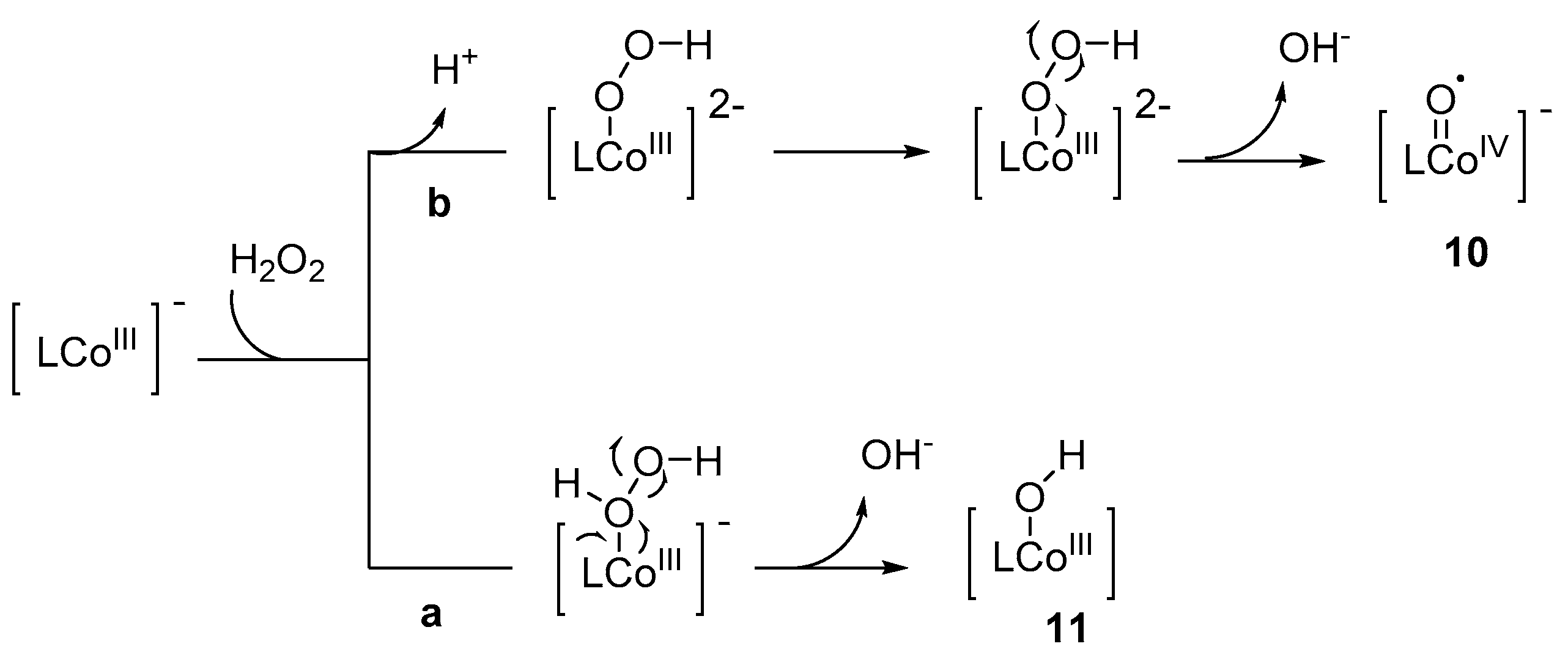 Molecules 24 00078 sch002 Molecules 24 00078 sch002