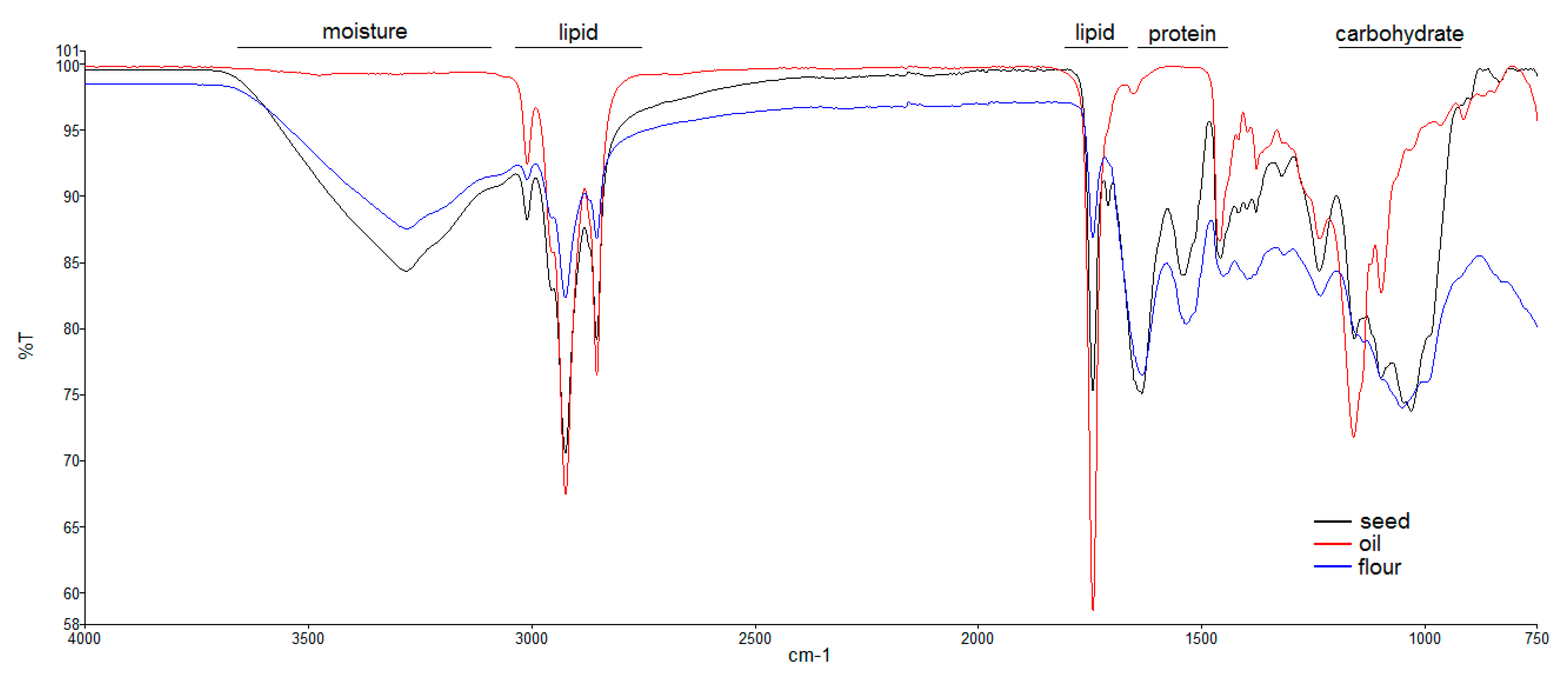 Molecules 24 00083 g004 Molecules 24 00083 g004