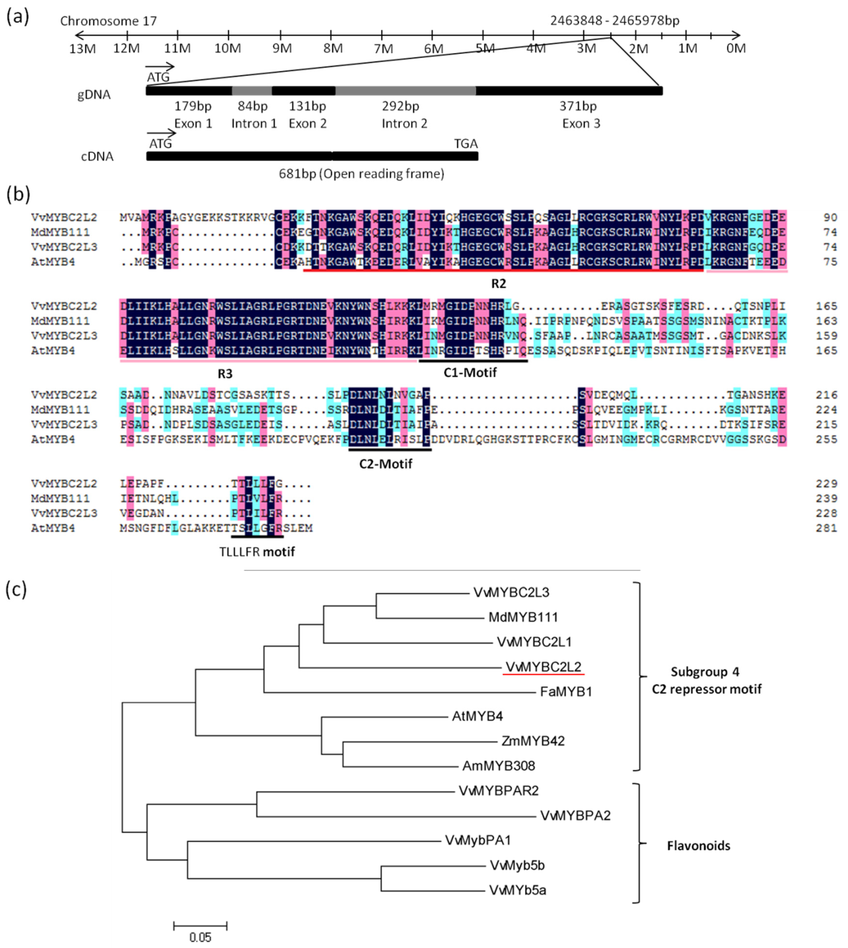 Molecules 24 00092 g001 Molecules 24 00092 g001