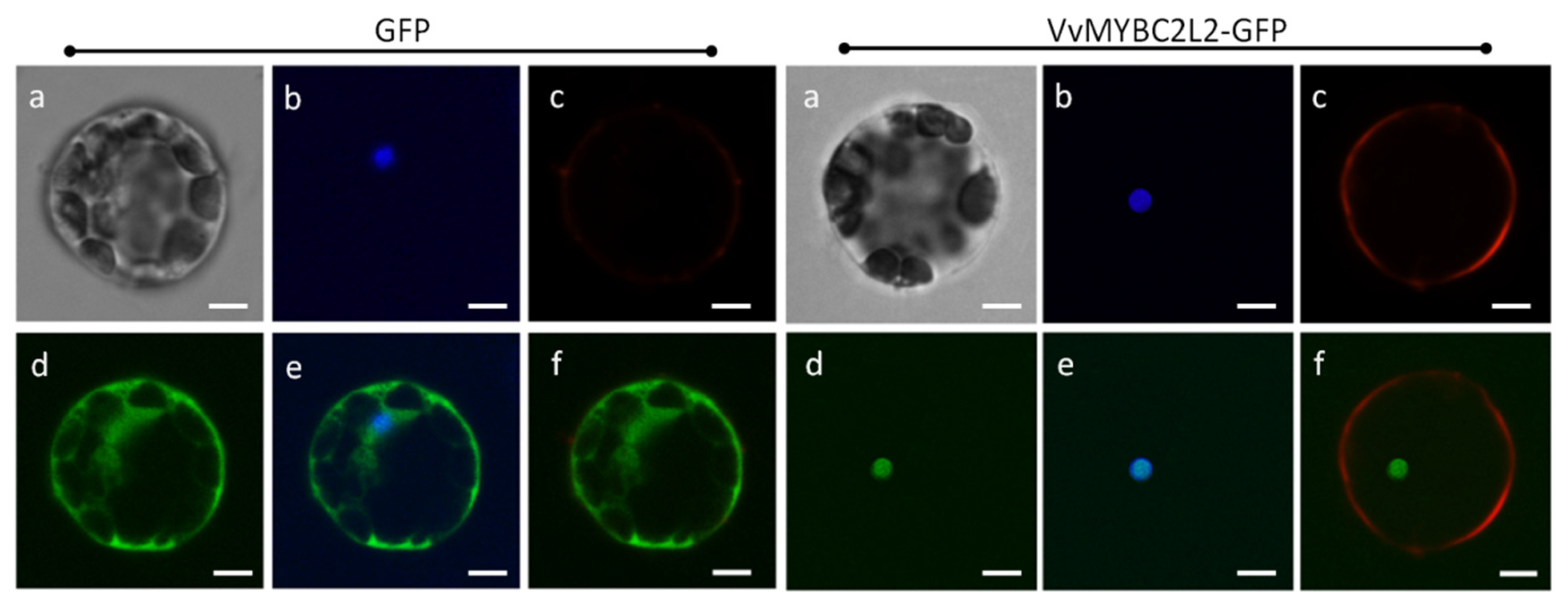 Molecules 24 00092 g002 Molecules 24 00092 g002