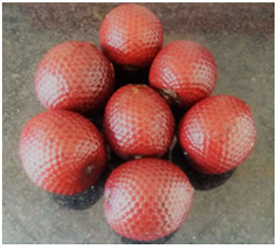 Molecules 24 00094 g001 Molecules 24 00094 g001