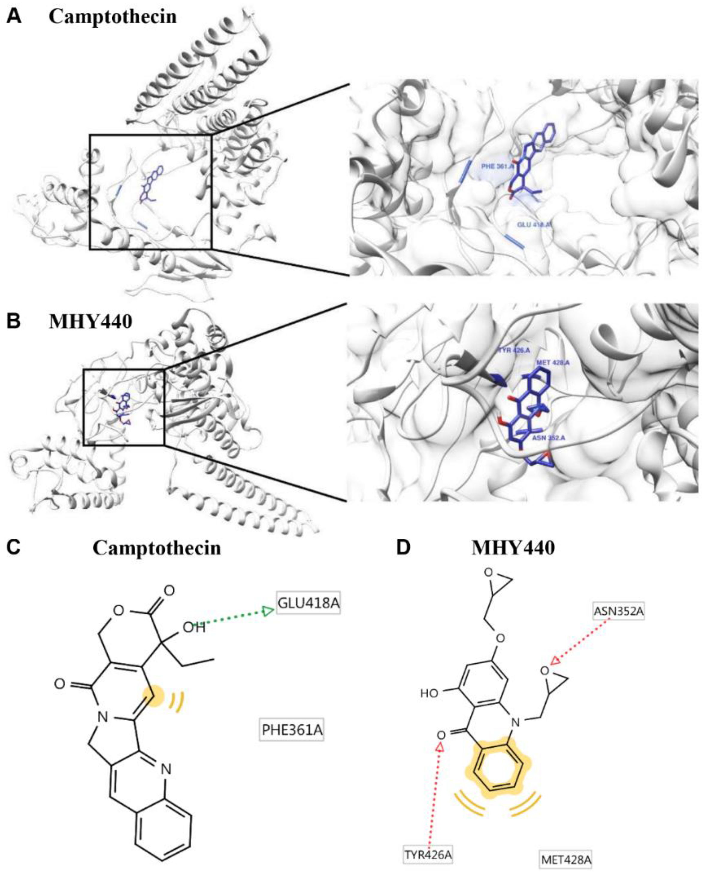 Molecules 24 00096 g002 Molecules 24 00096 g002