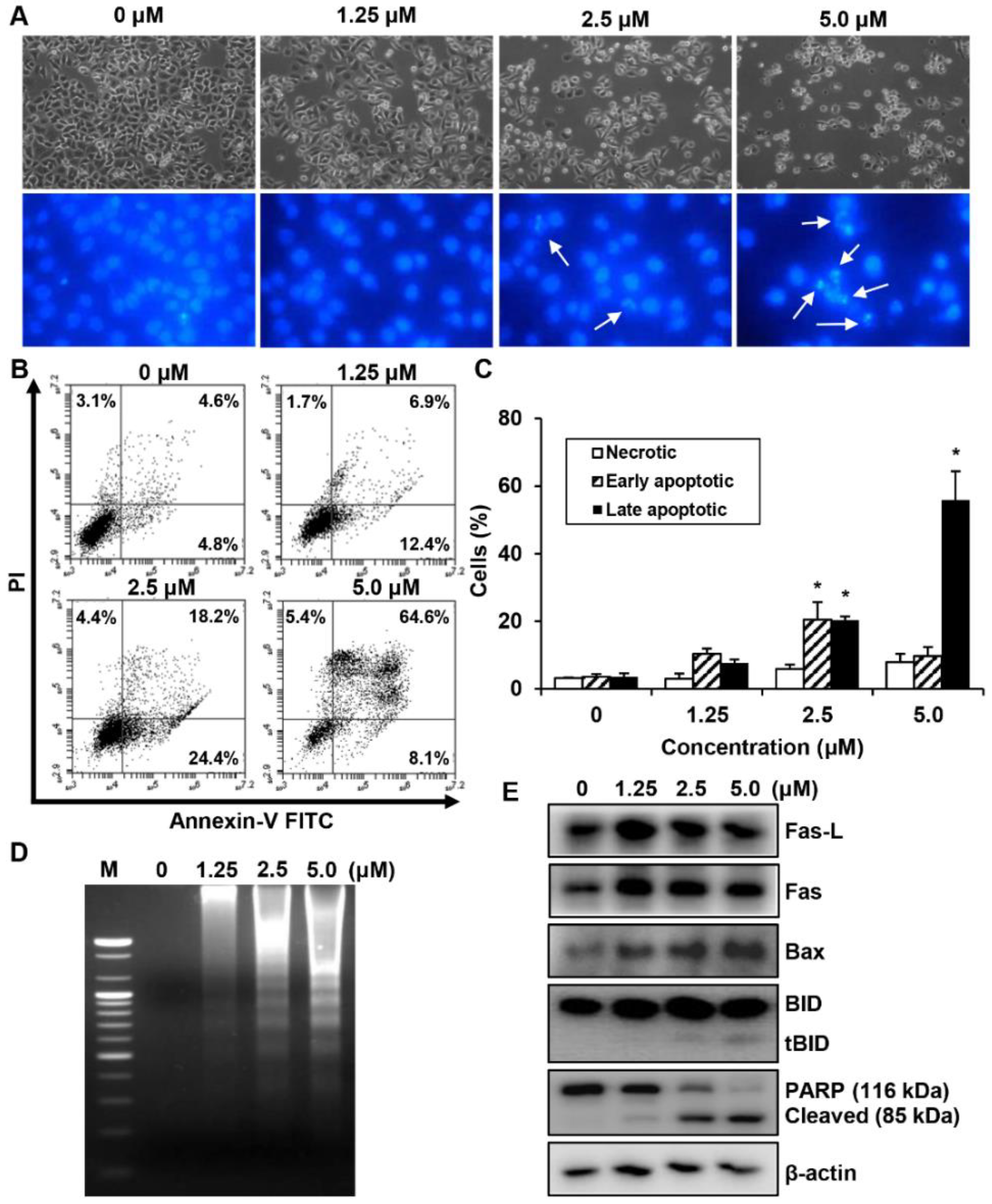 Molecules 24 00096 g005 Molecules 24 00096 g005