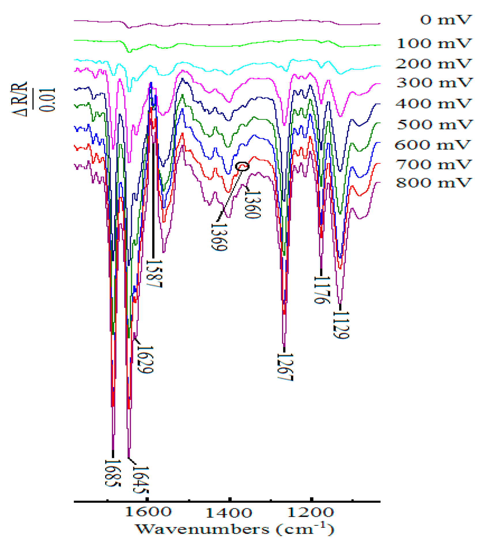 Molecules 24 00100 g004 Molecules 24 00100 g004