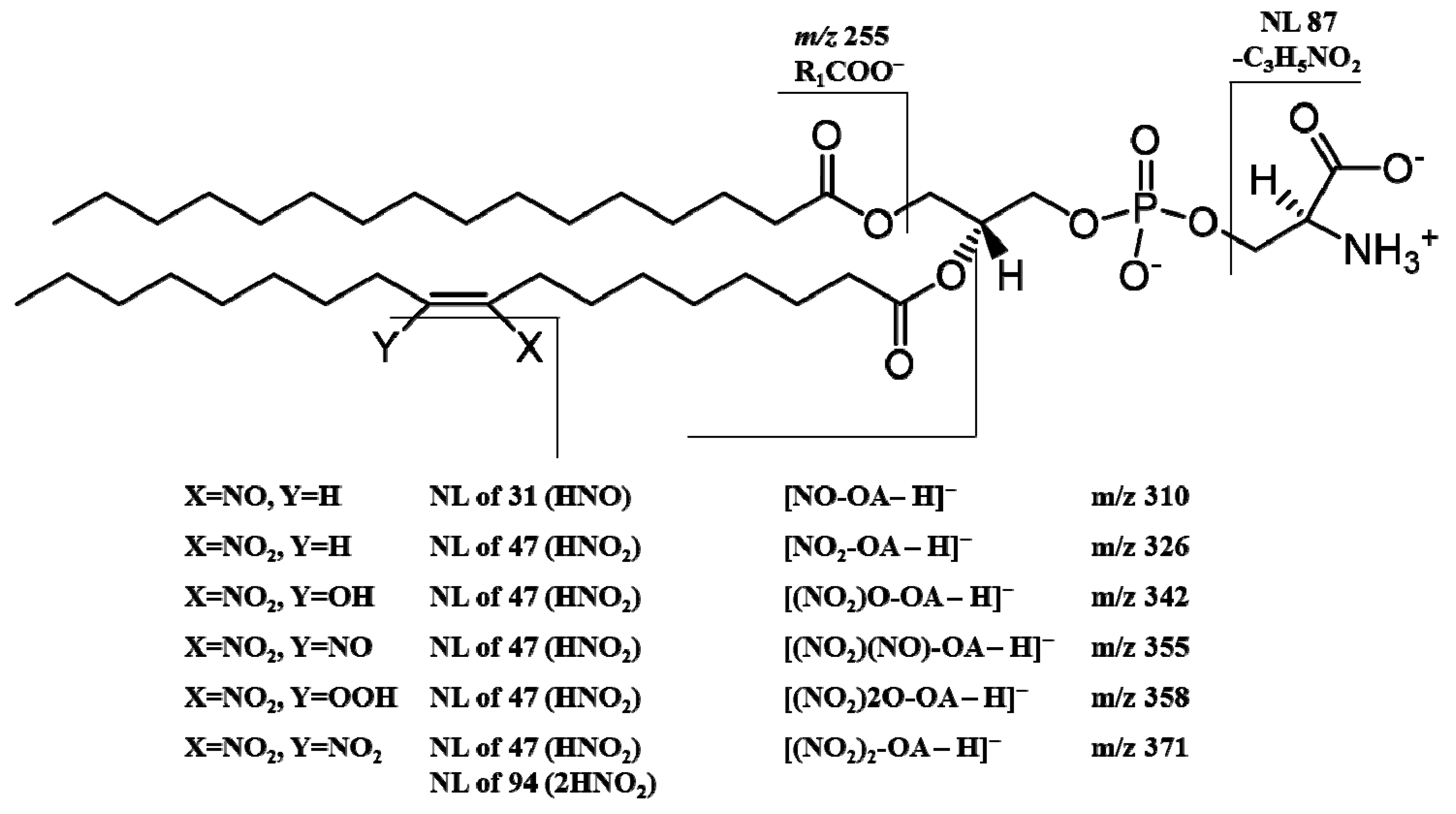 Molecules 24 00107 g004