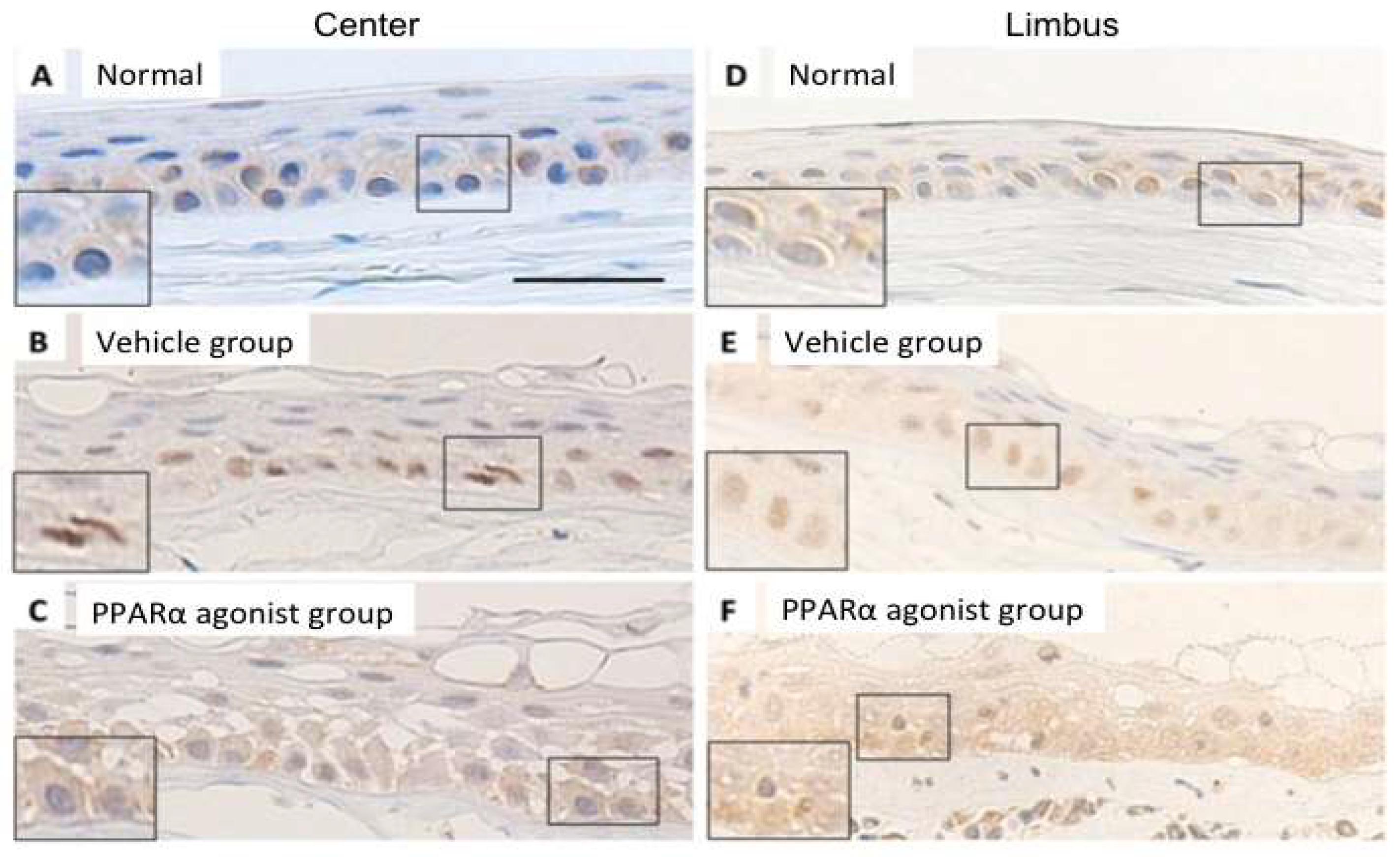 Molecules 24 00114 g007