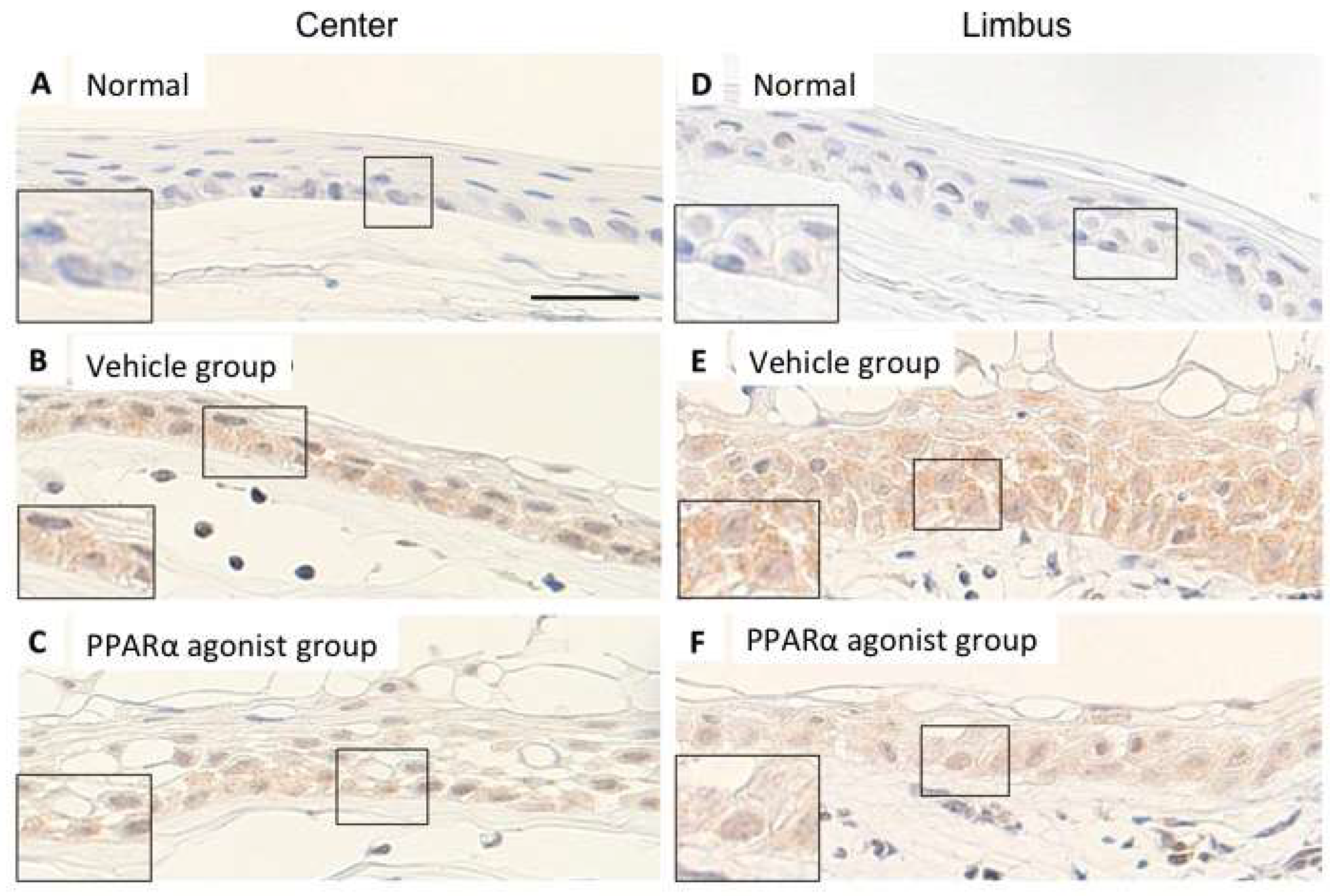 Molecules 24 00114 g009
