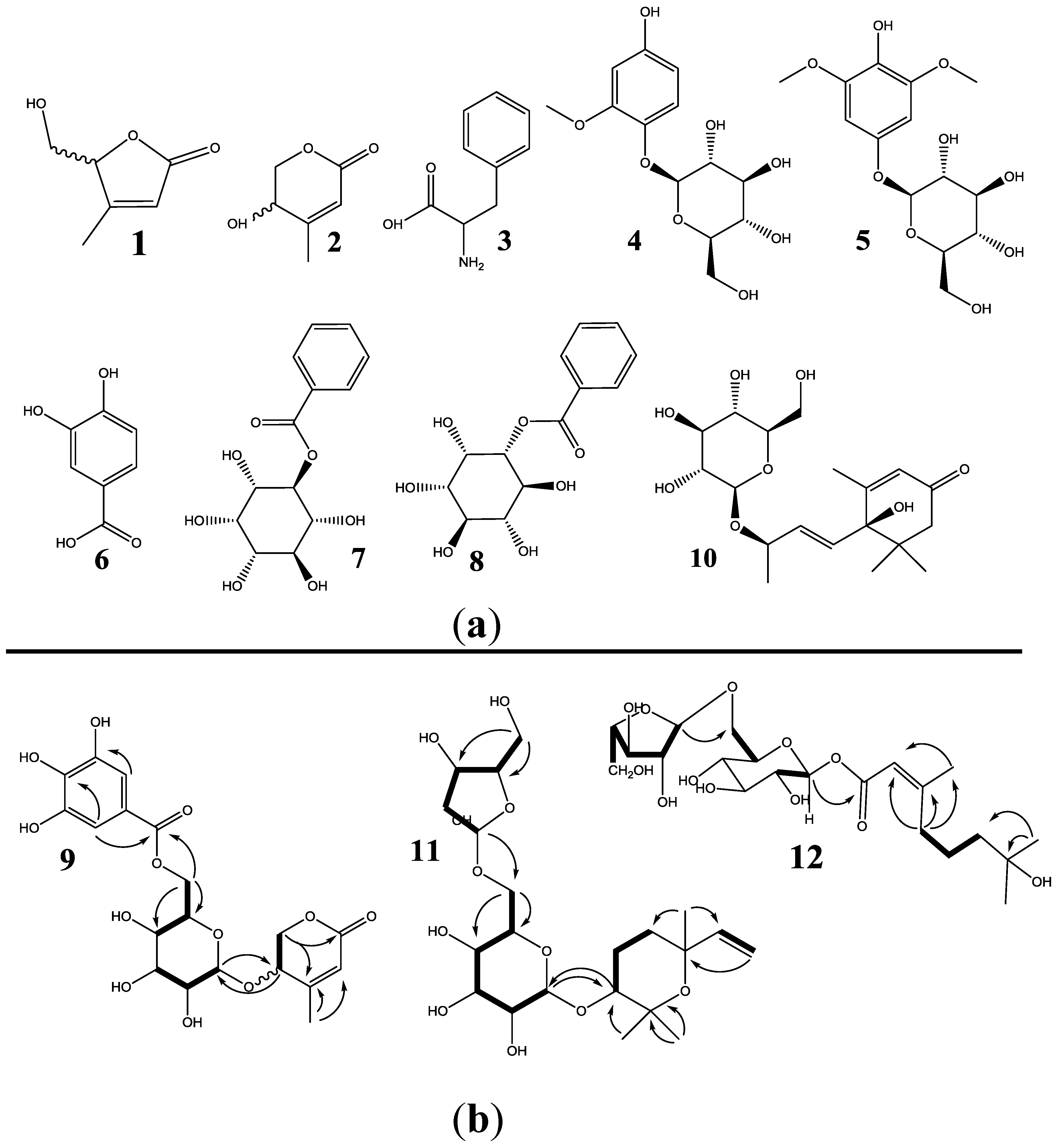 Molecules 24 00120 g004