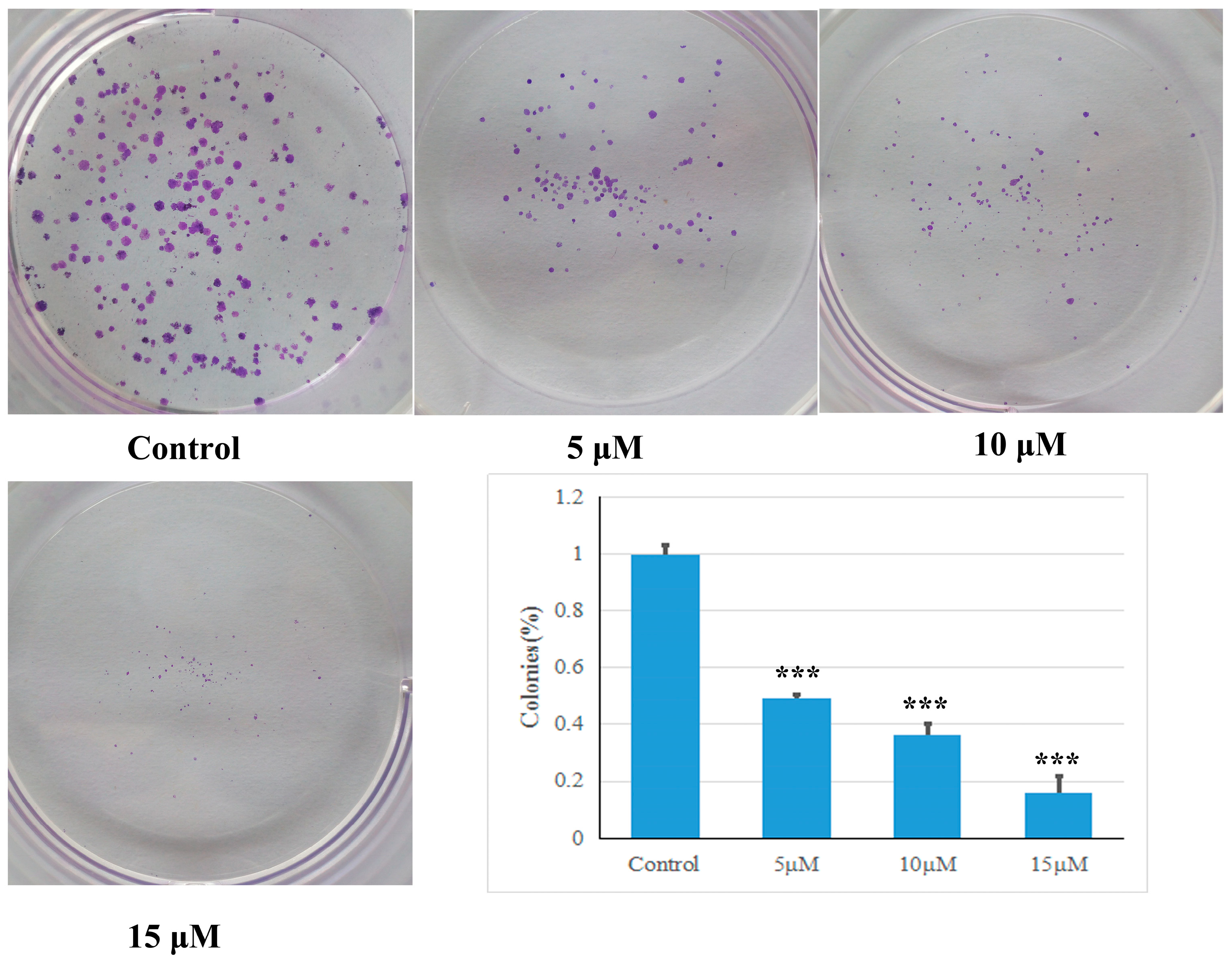 Molecules 24 00121 g003