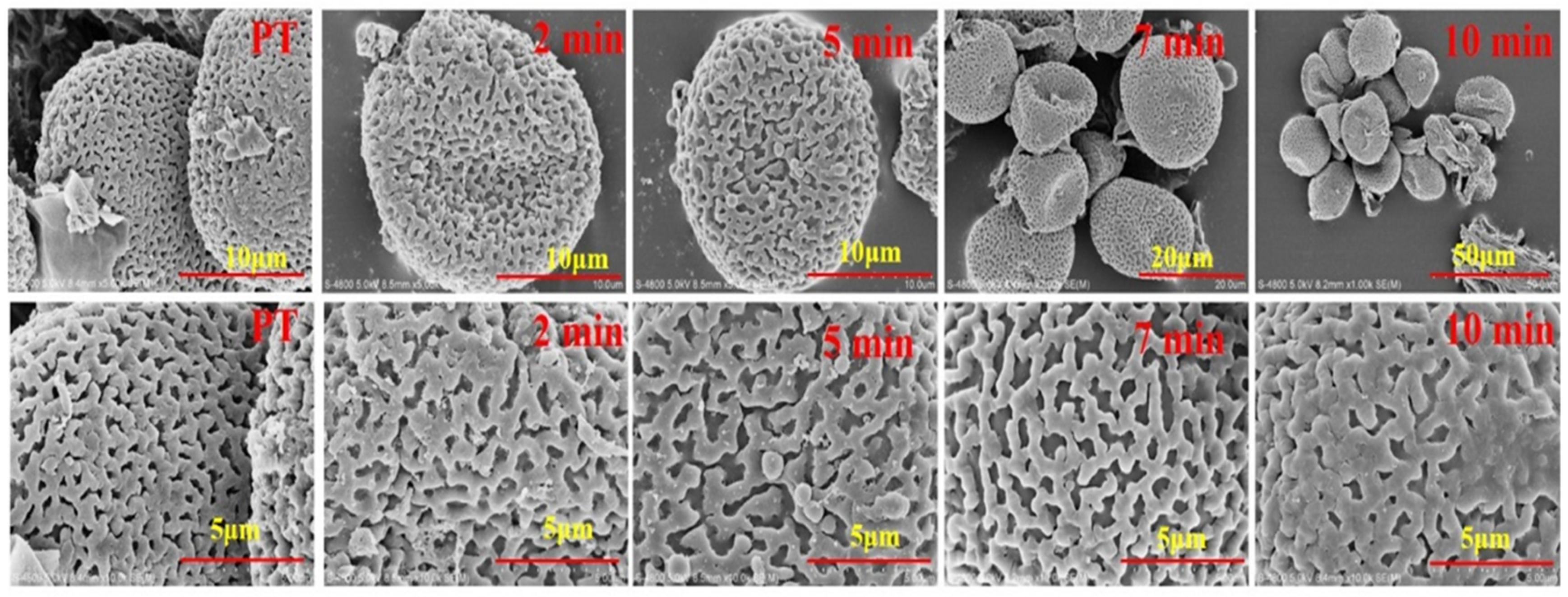 Molecules 24 00128 g001