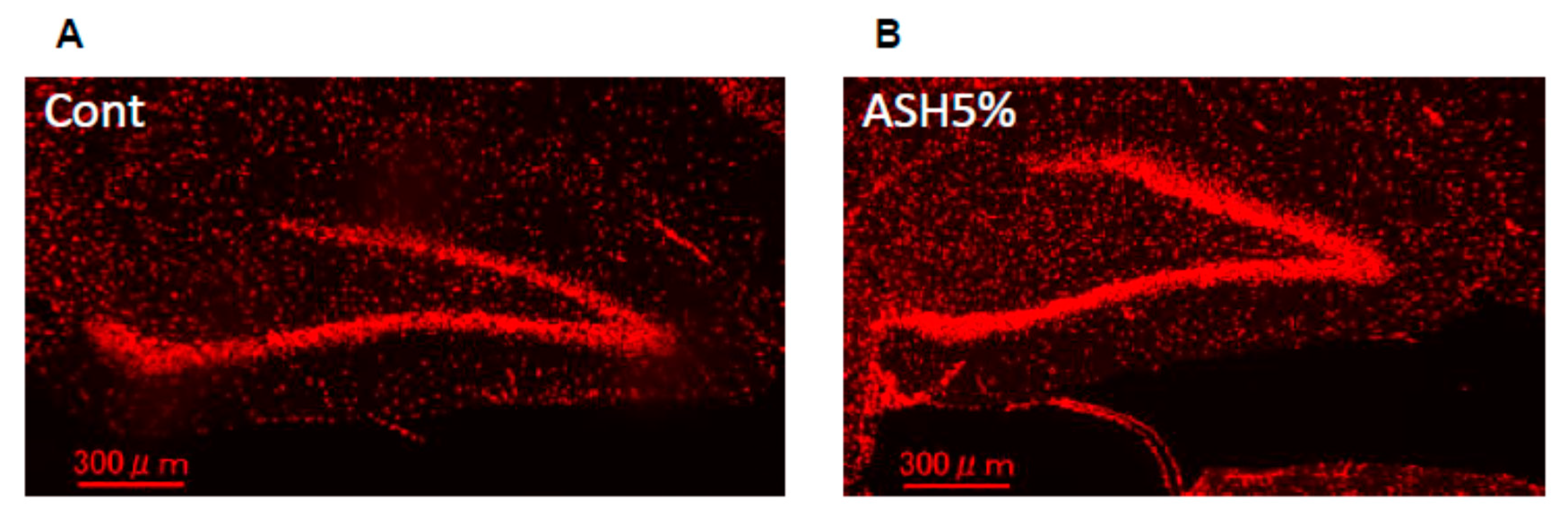 Molecules 24 00132 g007 Molecules 24 00132 g007