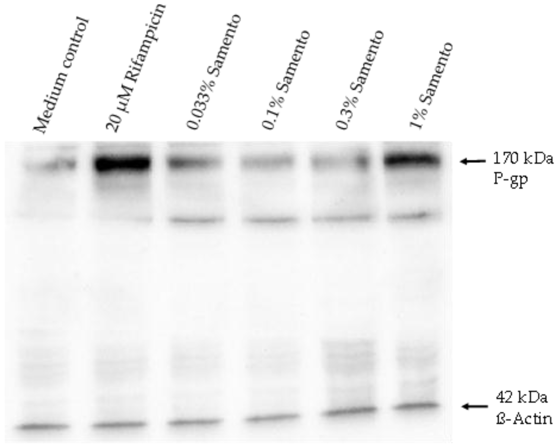 Molecules 24 00137 g005 Molecules 24 00137 g005