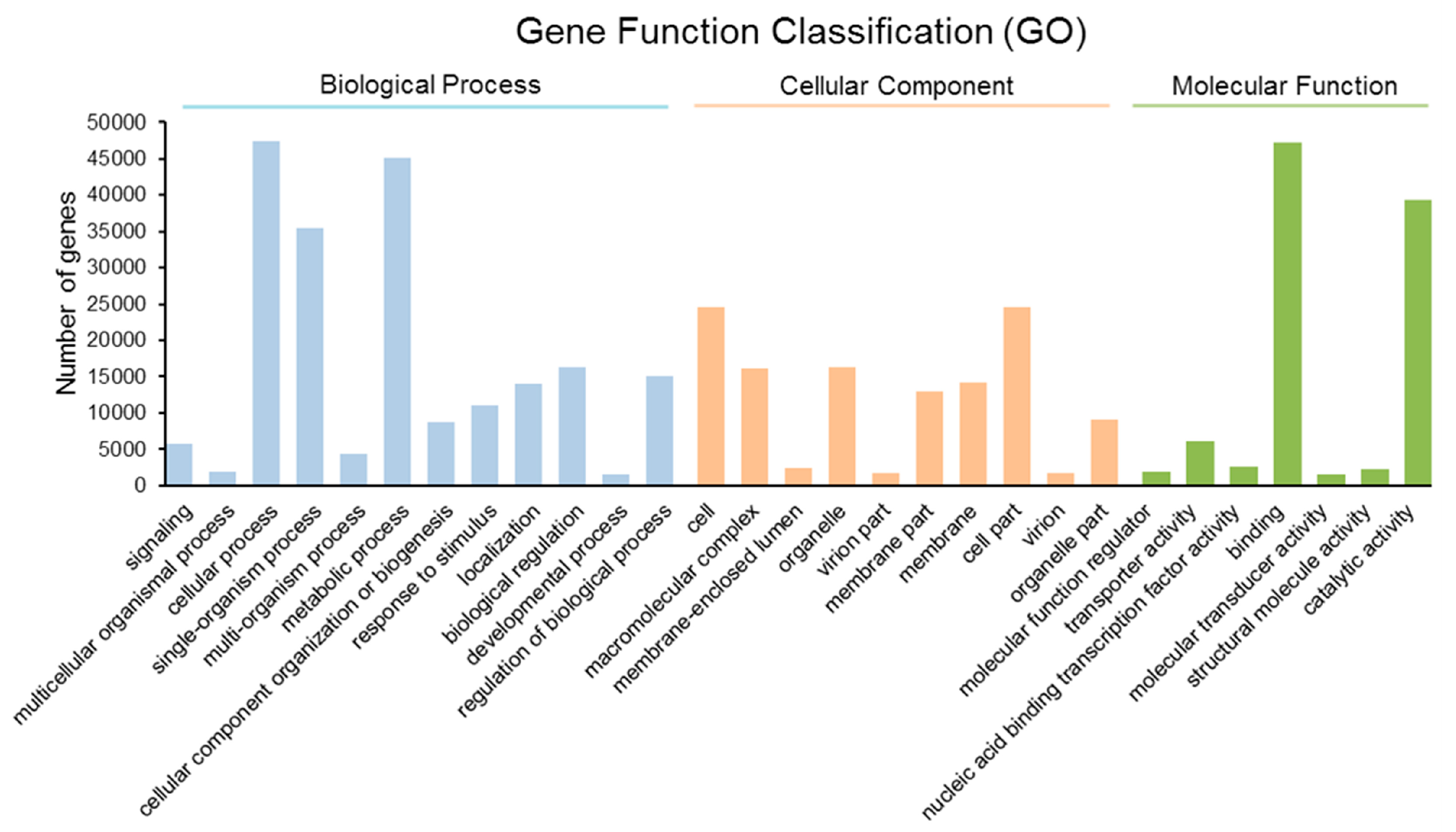 Molecules 24 00140 g002