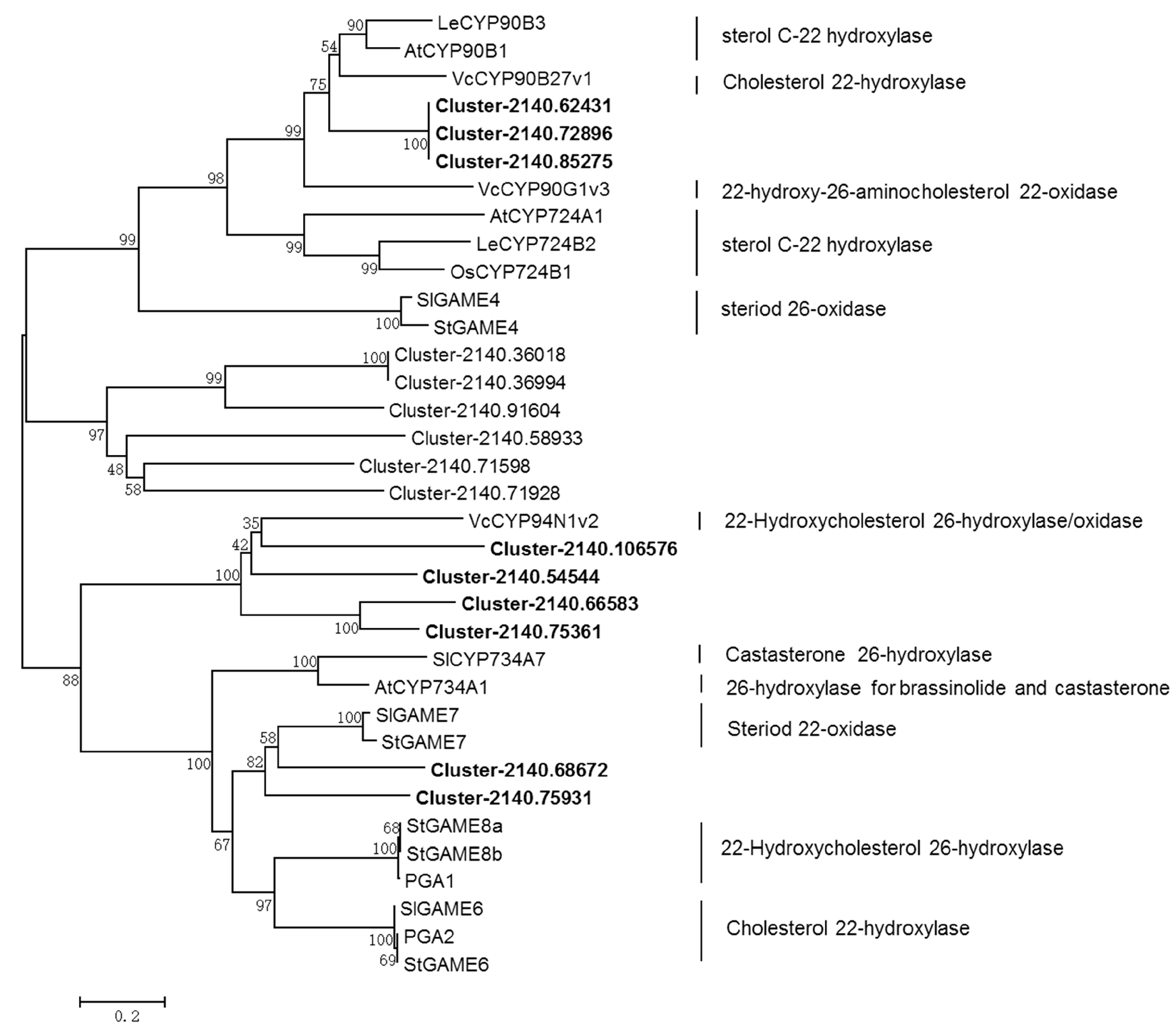 Molecules 24 00140 g004