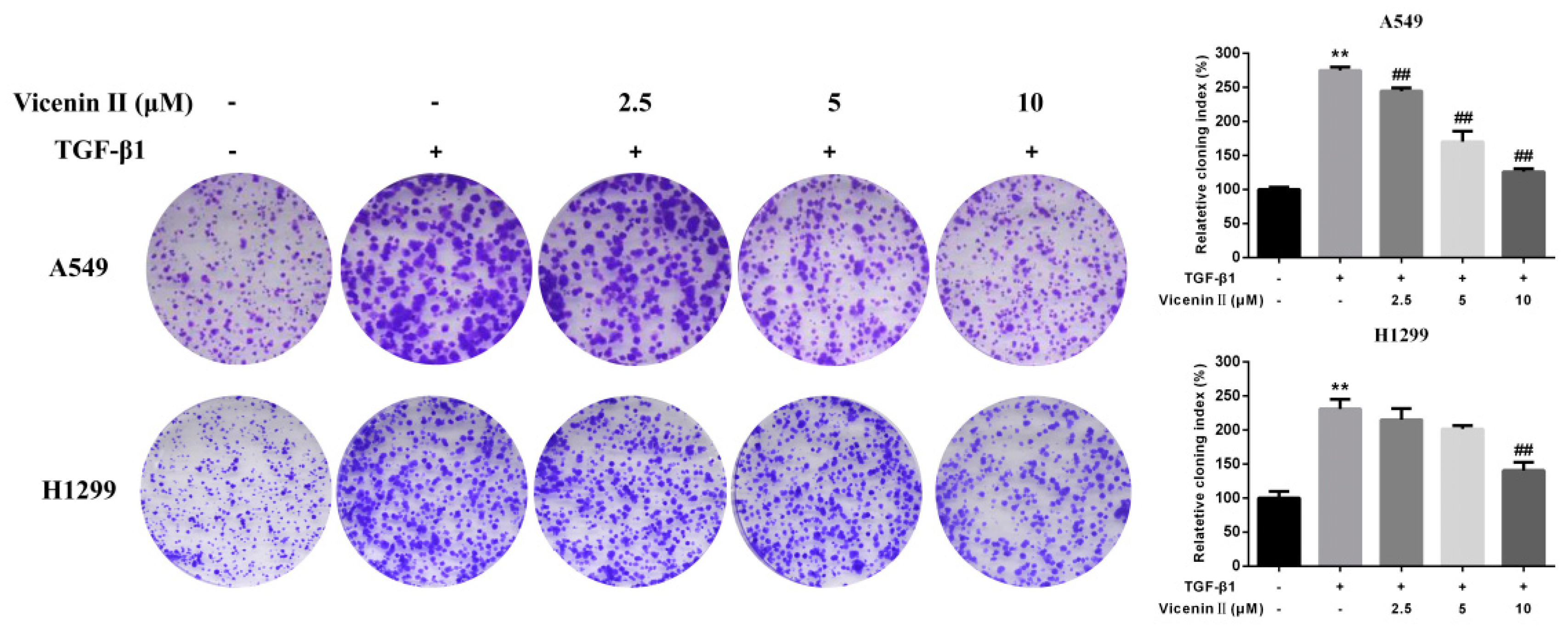 Molecules 24 00144 g003 Molecules 24 00144 g003