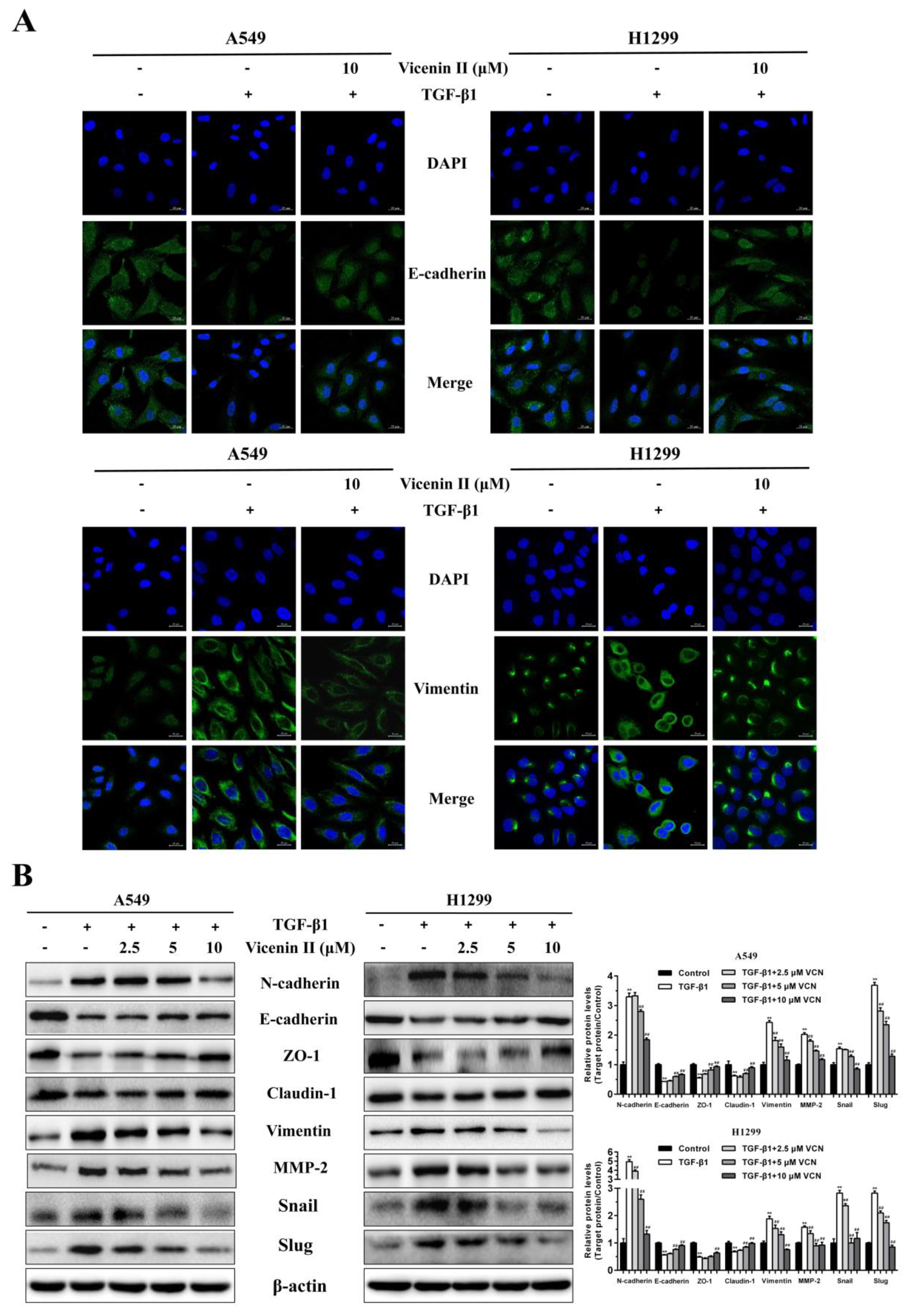 Molecules 24 00144 g005 Molecules 24 00144 g005