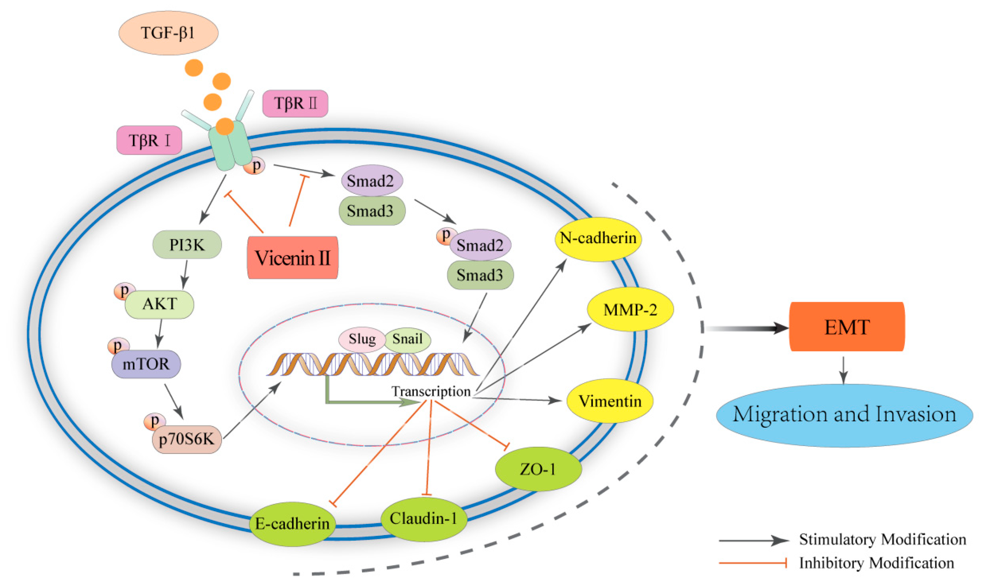 Molecules 24 00144 g007 Molecules 24 00144 g007