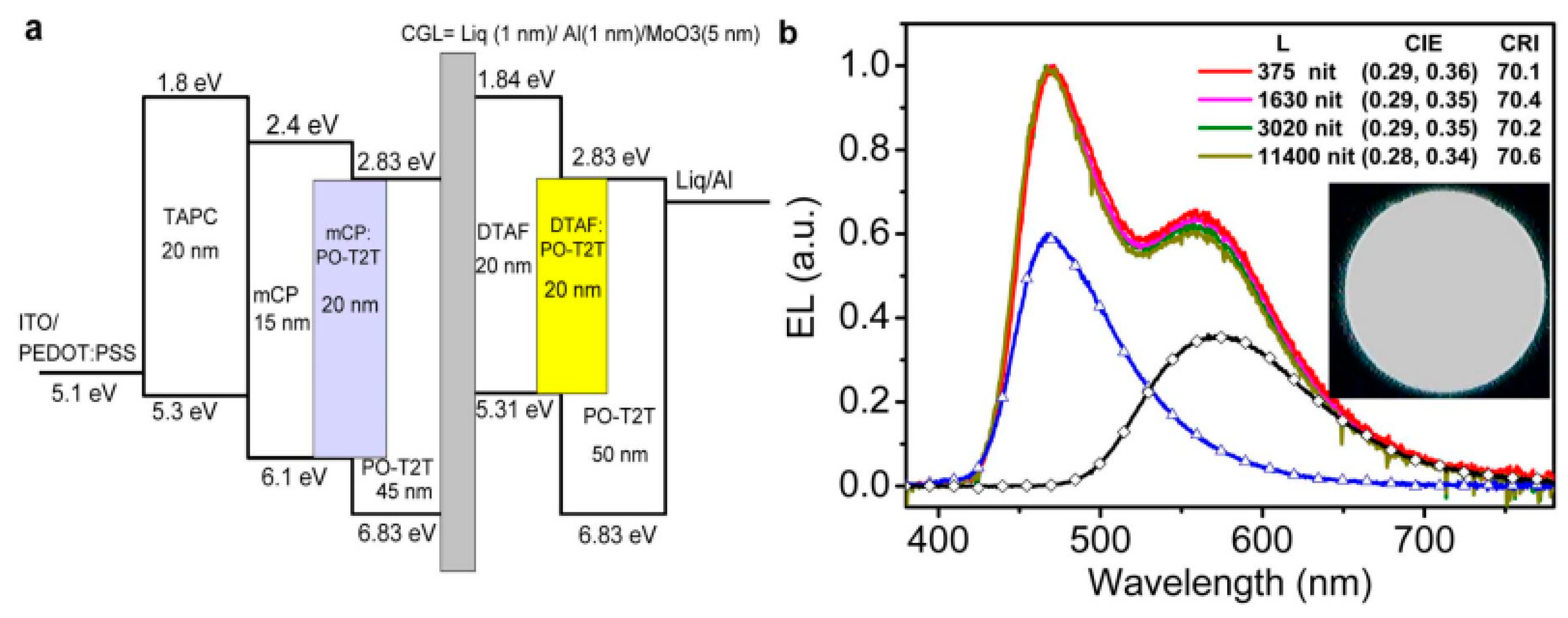 Molecules 24 00151 g007