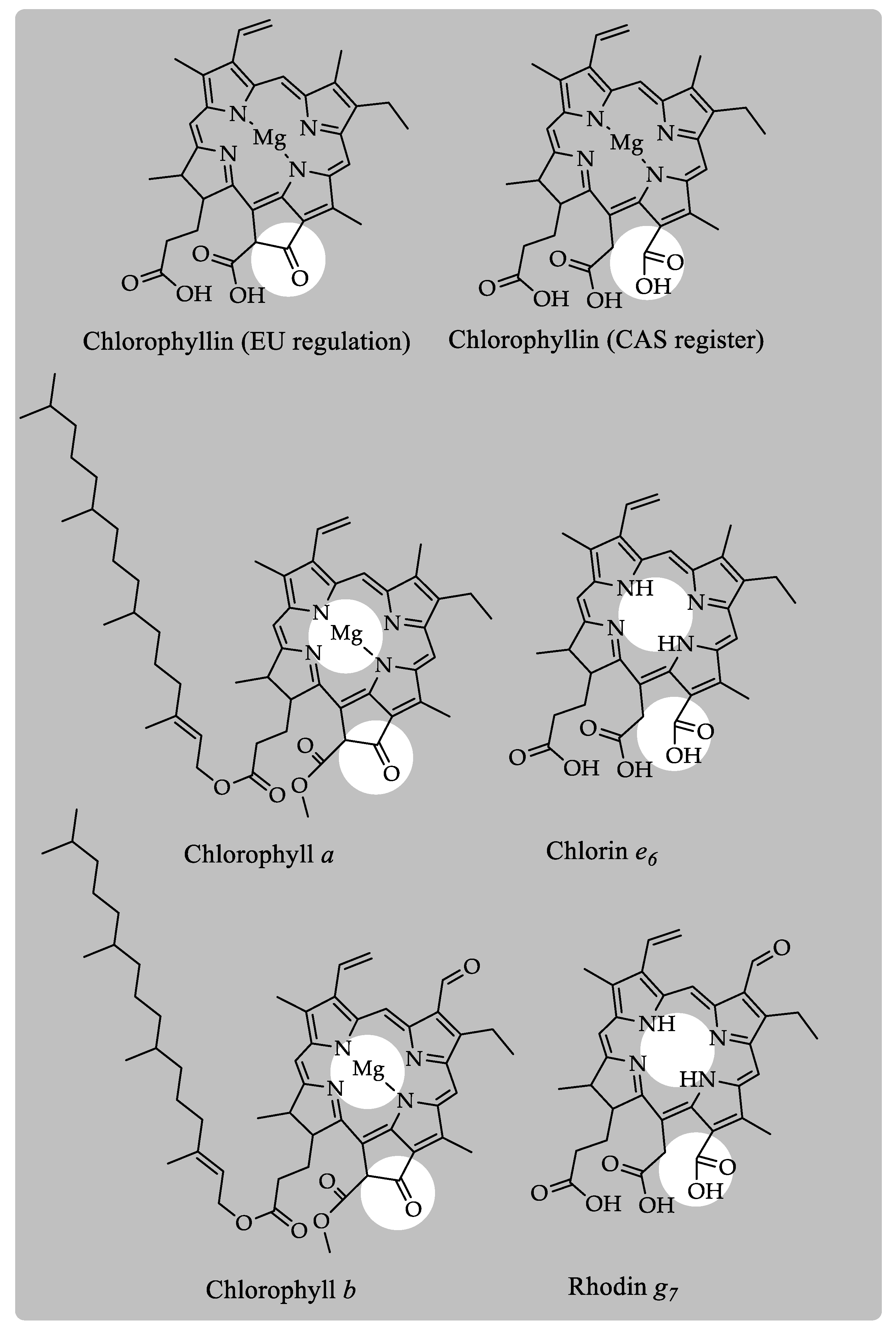 Molecules 24 00154 g005 Molecules 24 00154 g005