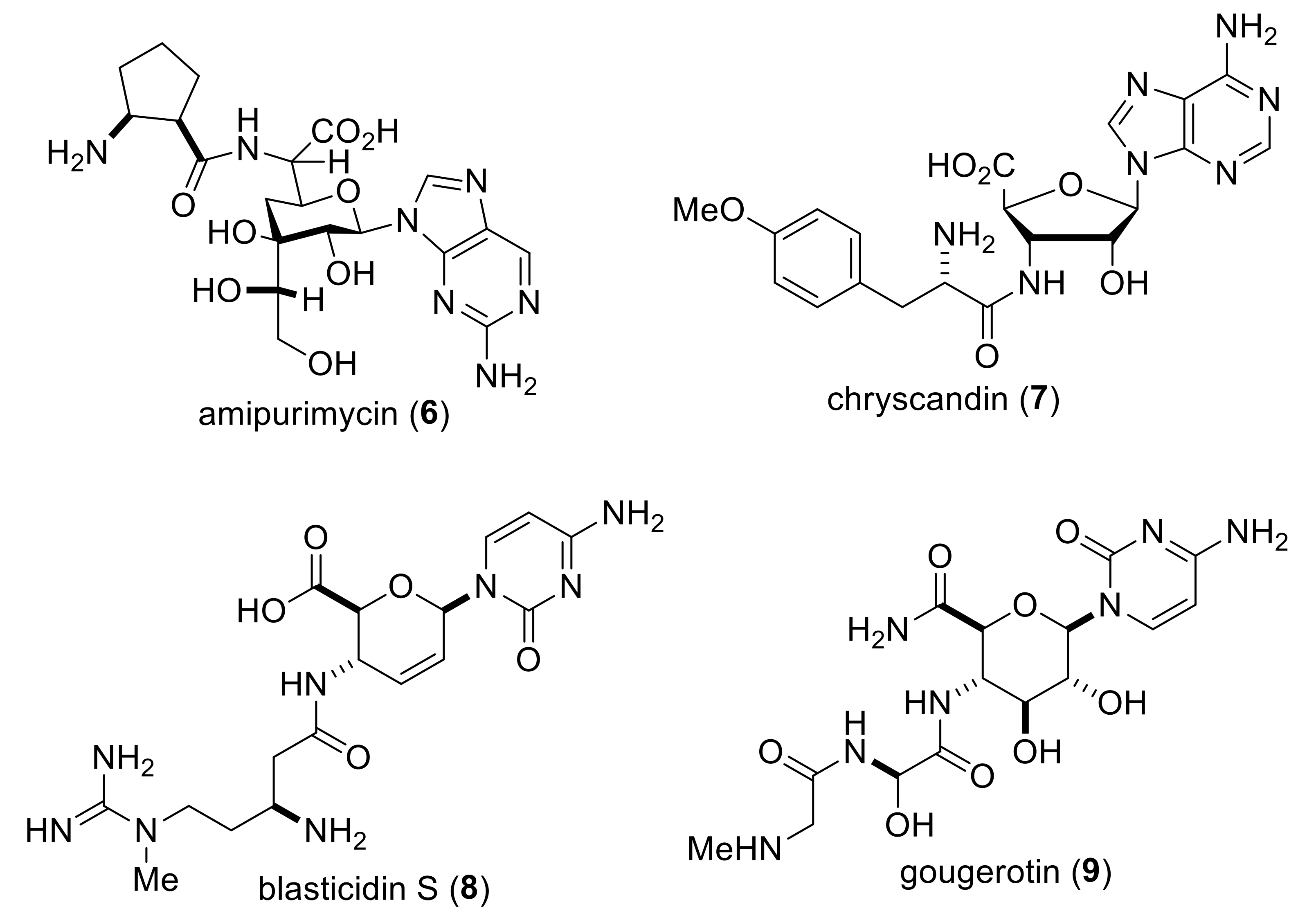 Molecules 24 00161 sch002