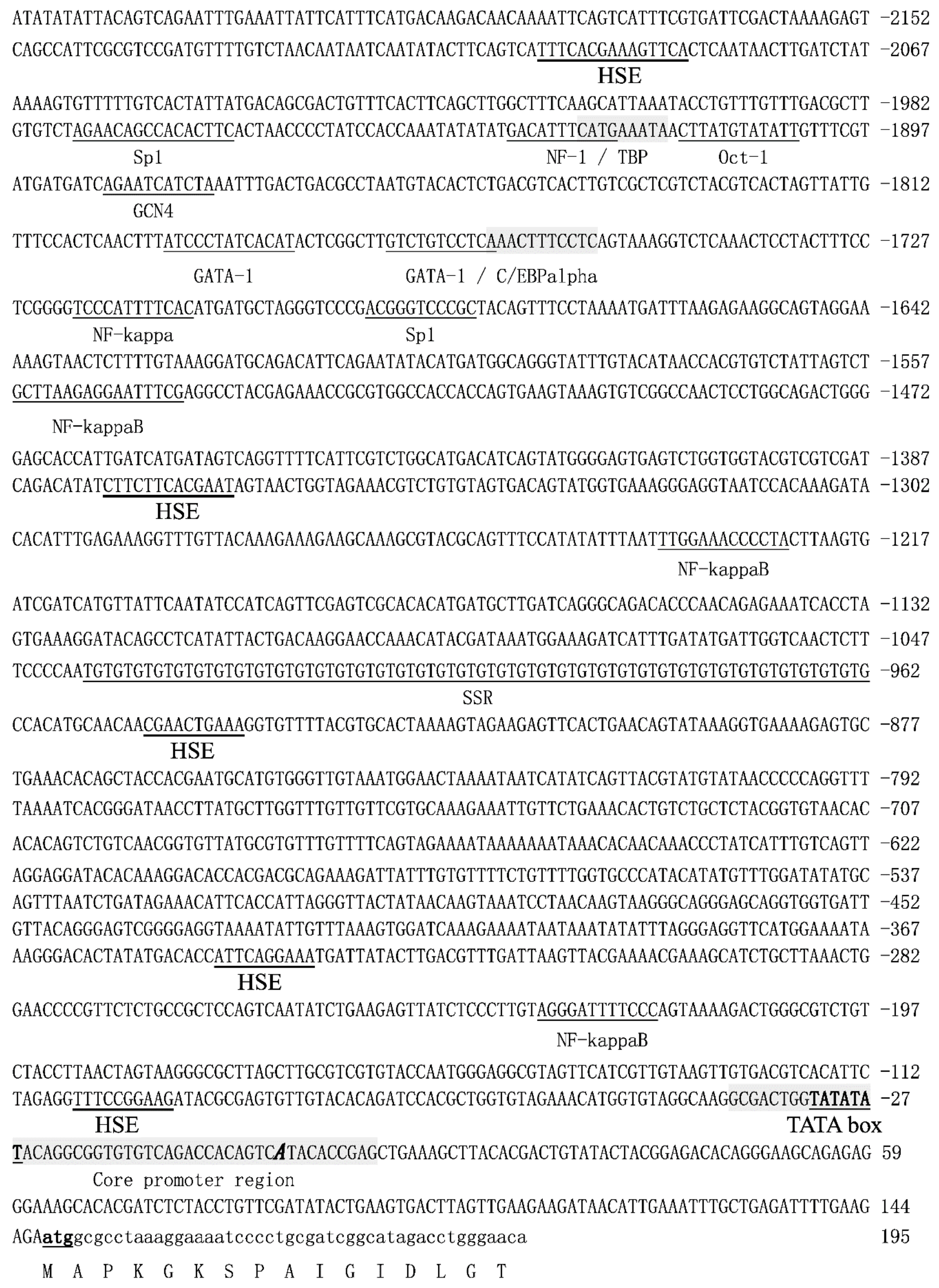 Molecules 24 00162 g004 Molecules 24 00162 g004