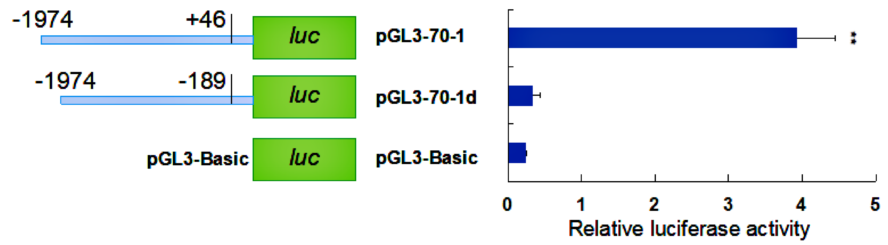 Molecules 24 00162 g006 Molecules 24 00162 g006