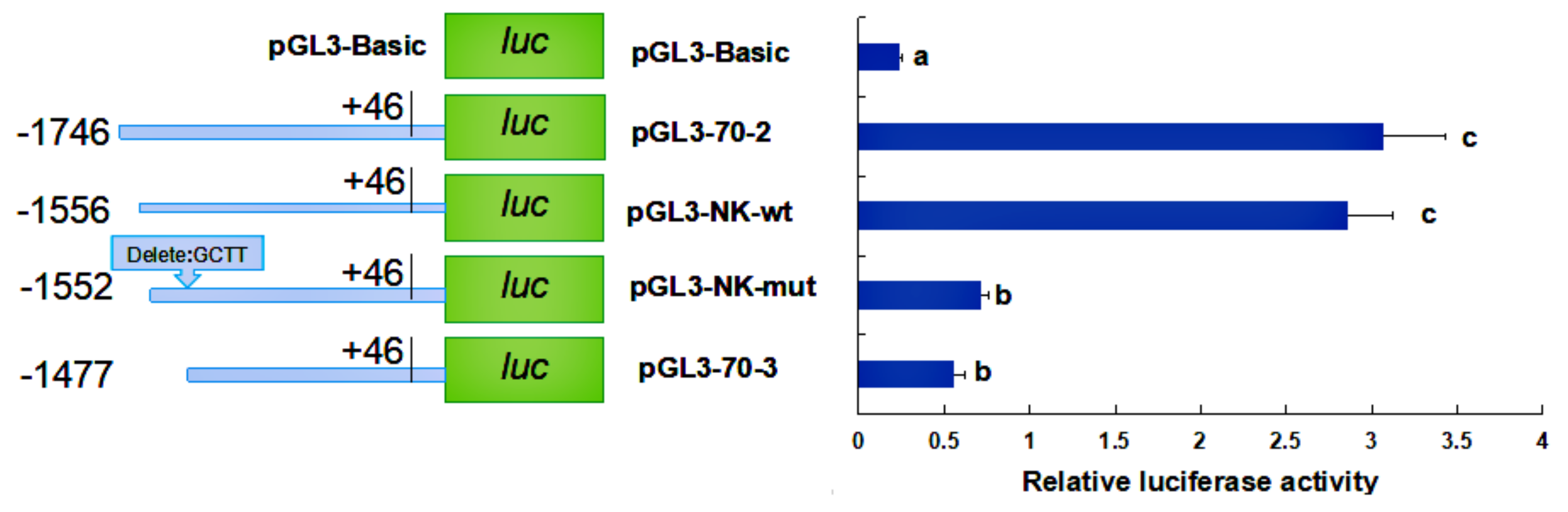 Molecules 24 00162 g010 Molecules 24 00162 g010