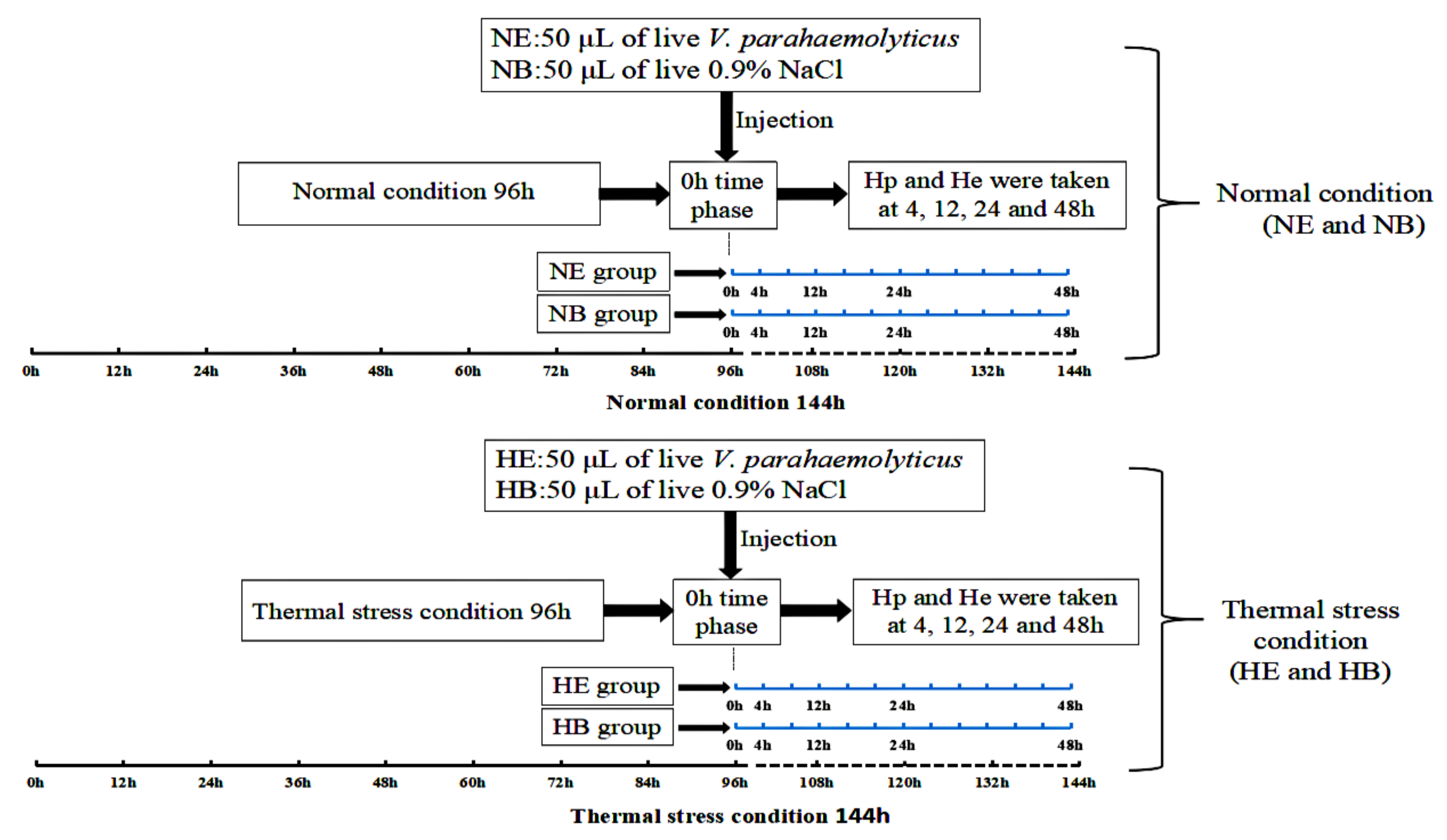 Molecules 24 00162 g011 Molecules 24 00162 g011
