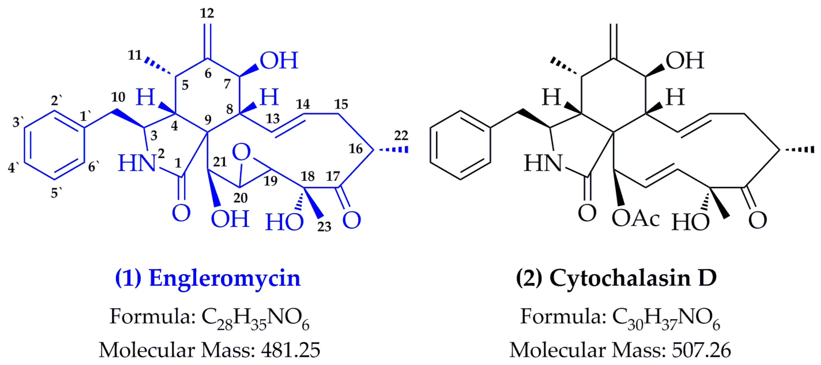 Molecules 24 00166 g001 Molecules 24 00166 g001