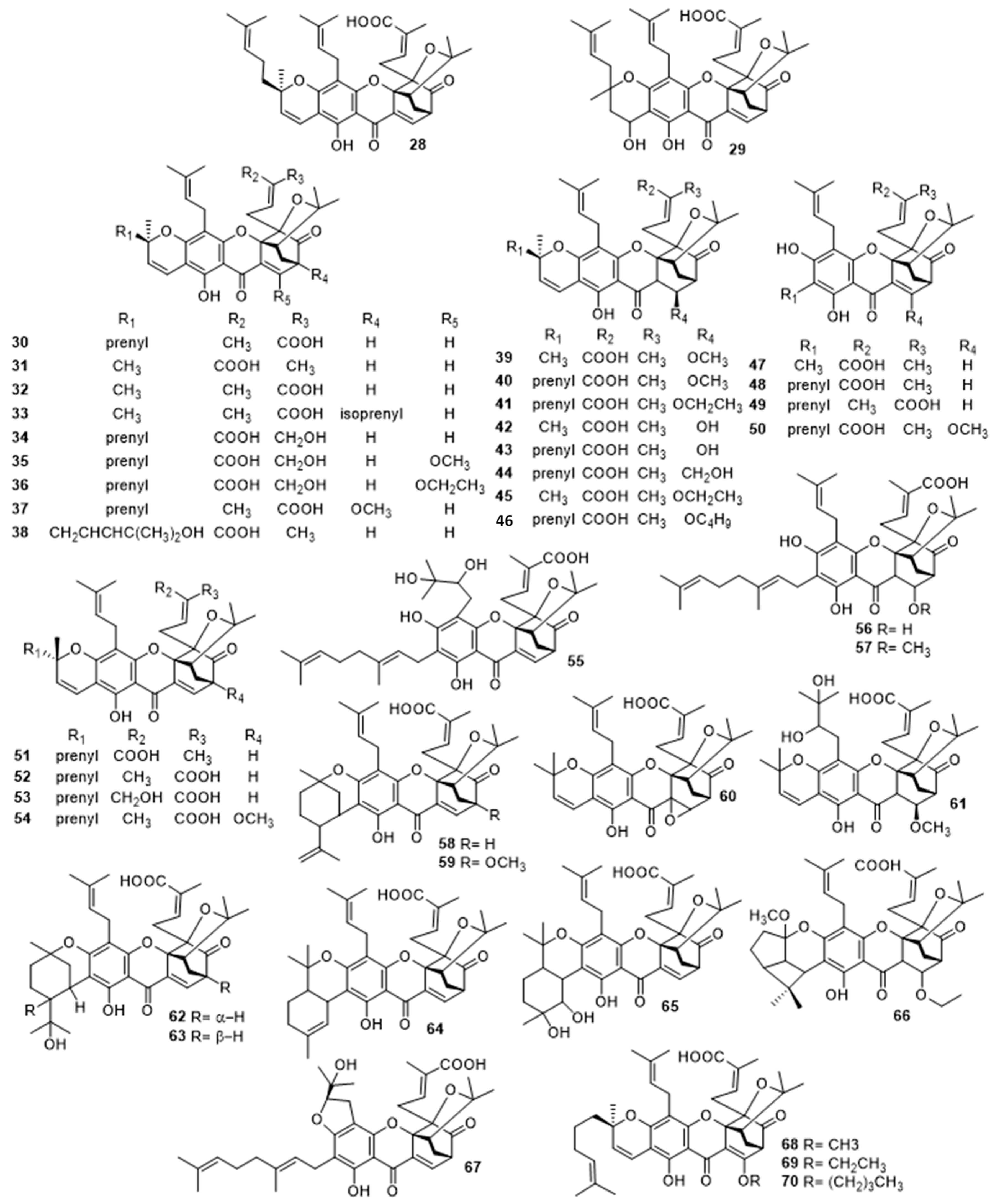 Molecules 24 00180 g004 Molecules 24 00180 g004